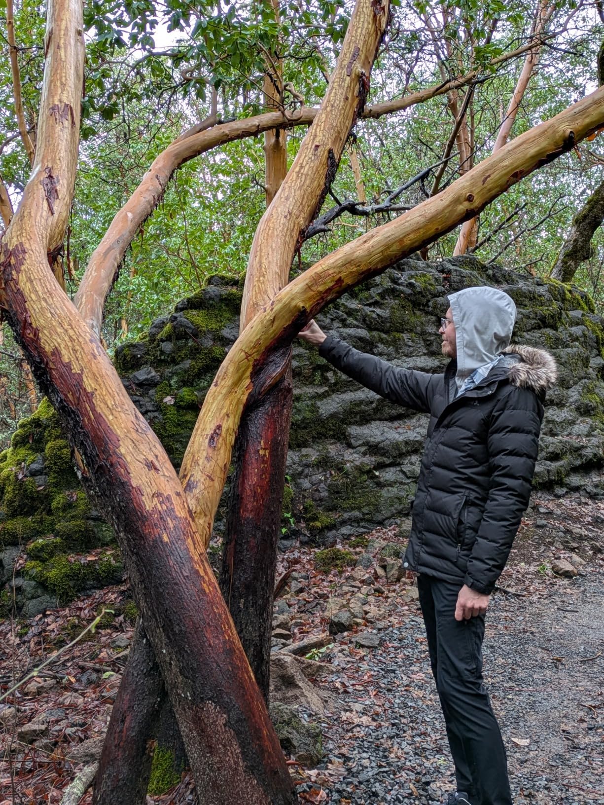 Eddie Bauer Men's Boundary Pass Down Hooded Parka customer photo 1