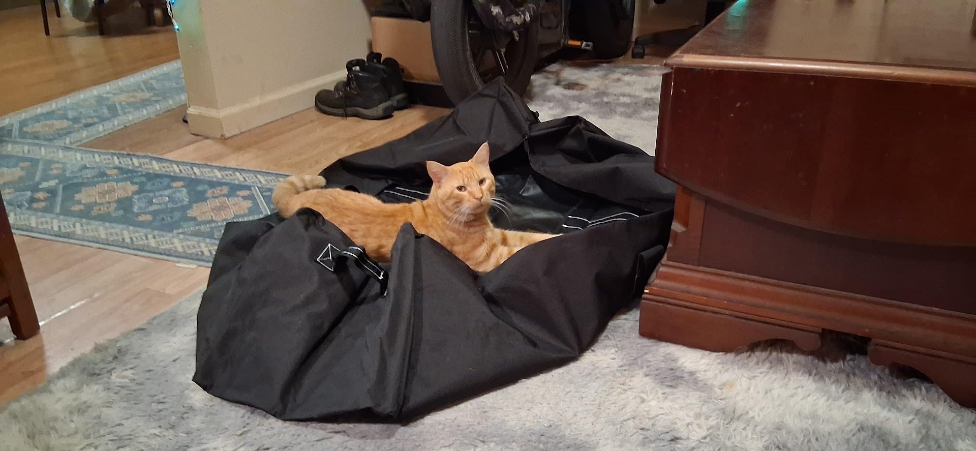 52 Inch Large Duffle Bag for Travel Camping - 180L Extra Large Heavy Duty Duffel Bag, Sport Equipment Storage Bag with 2 Sides Handles-Black customer photo 1