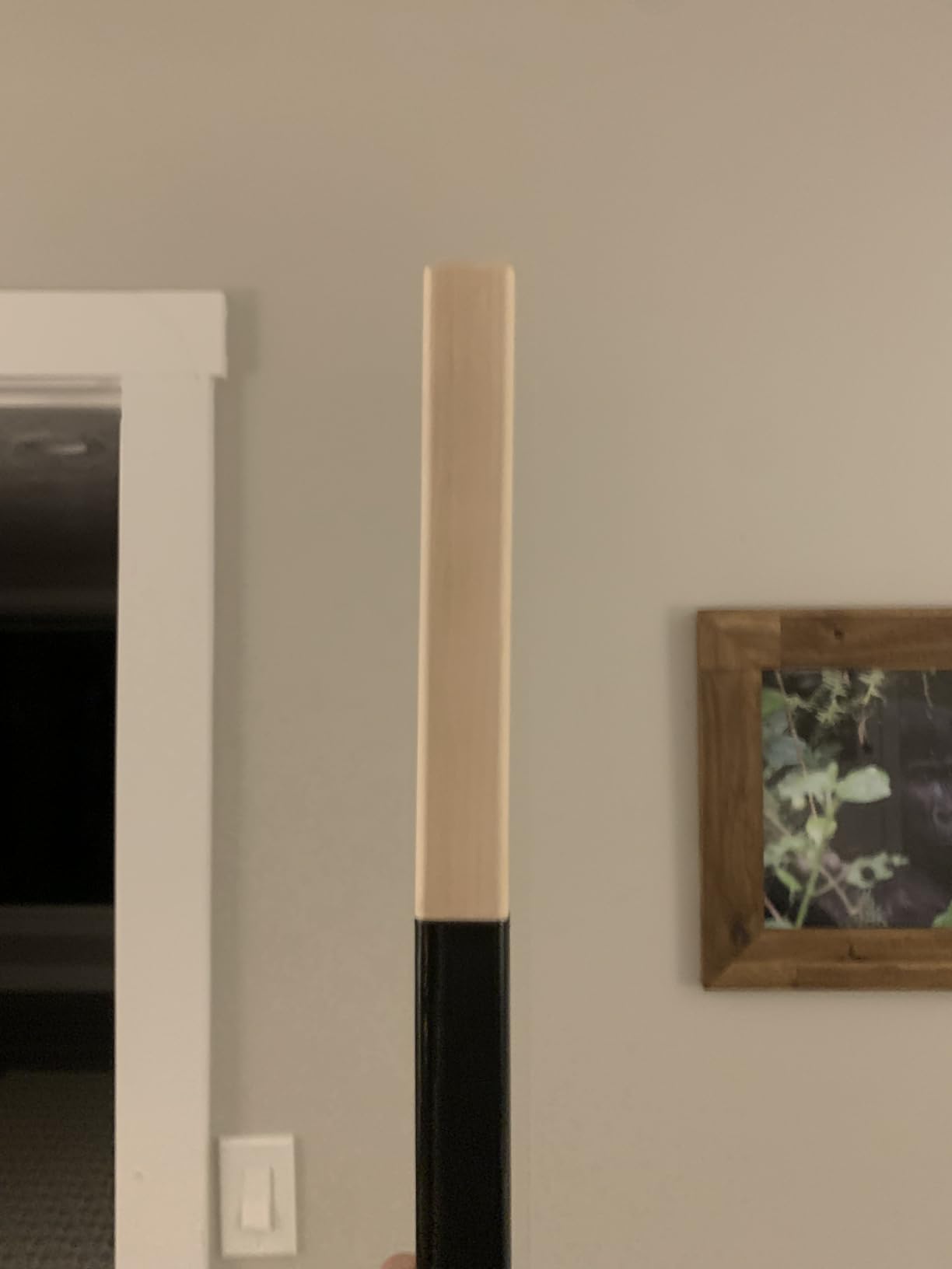 Seenelling 2 Pack Hockey Stick Extensions - Solid Wooden Butt End for Senior & Youth Street Hockey Sticks customer photo 2