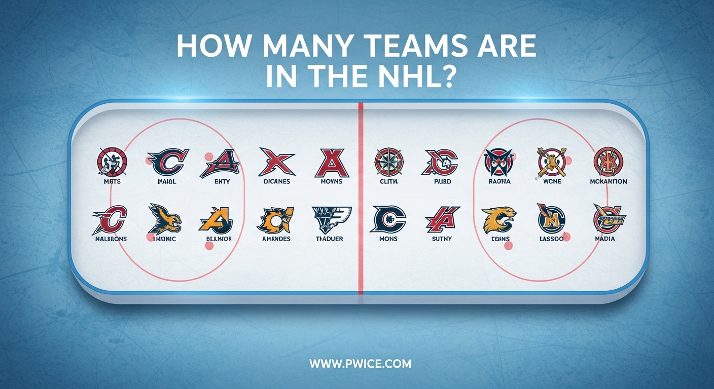 How Many Teams Are in the NHL
