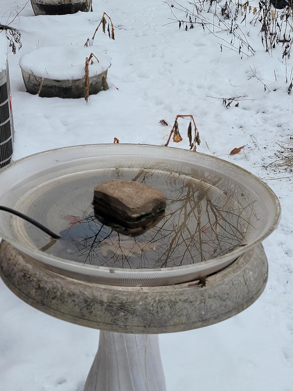 Farm Innovators C-50 Premium Cast Aluminum Birdbath Deicer, Electric Birdbath Warmer with Built-in Thermostat, 150W customer photo 1
