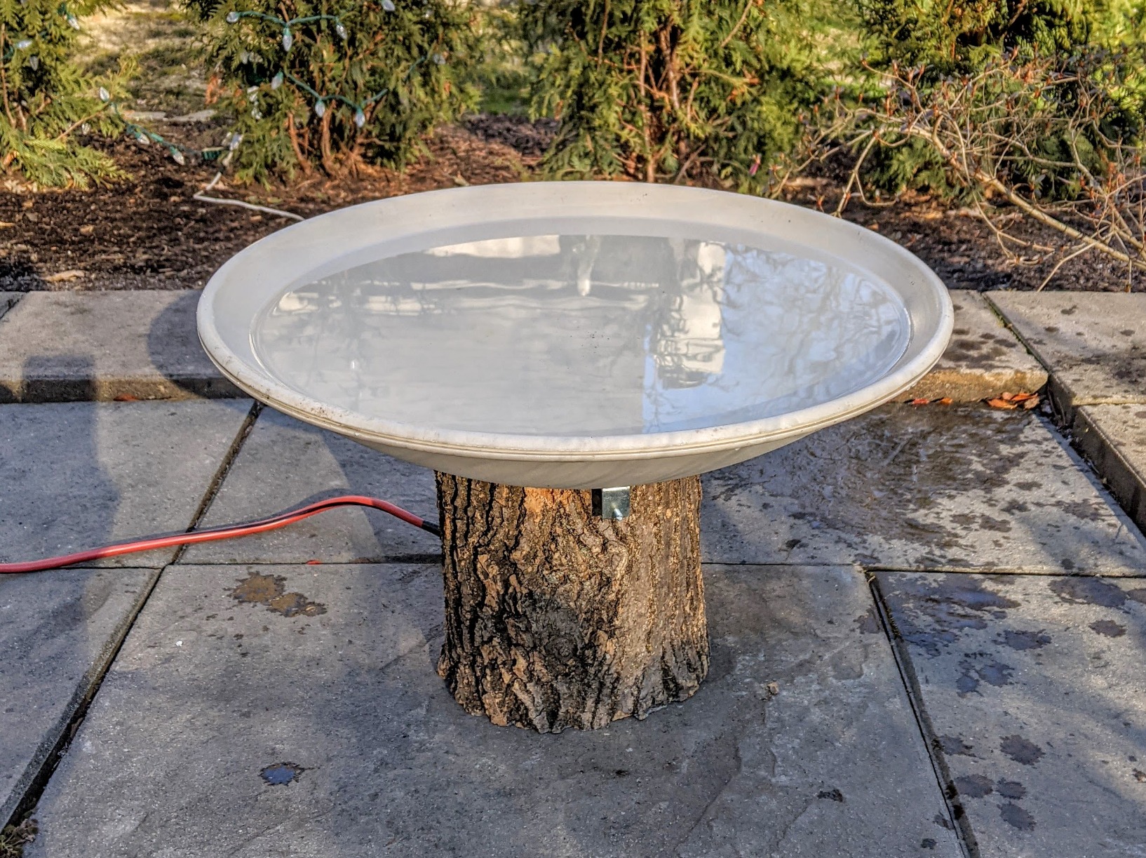 API Heated Birdbath for Outdoors with Mounting Hardware, 150W customer photo 1