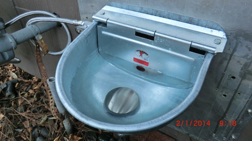 Little Giant Galvanized Steel Automatic Stock Waterer | Automatic Livestock Water for Cattle customer photo 1