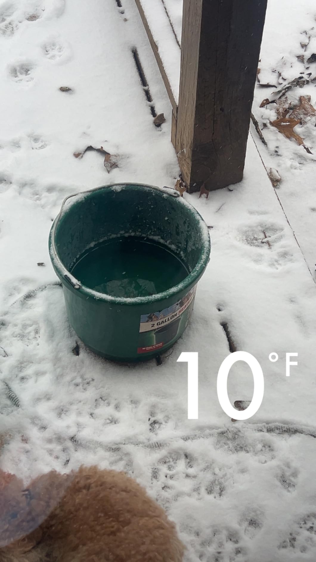 API Heated Bucket | Heated Round Water Bucket | Horse Stables and Livestock Pails for Winter No Freeze | Made in USA - 9 Quart (2.25 Gallon), 1 Count customer photo 2
