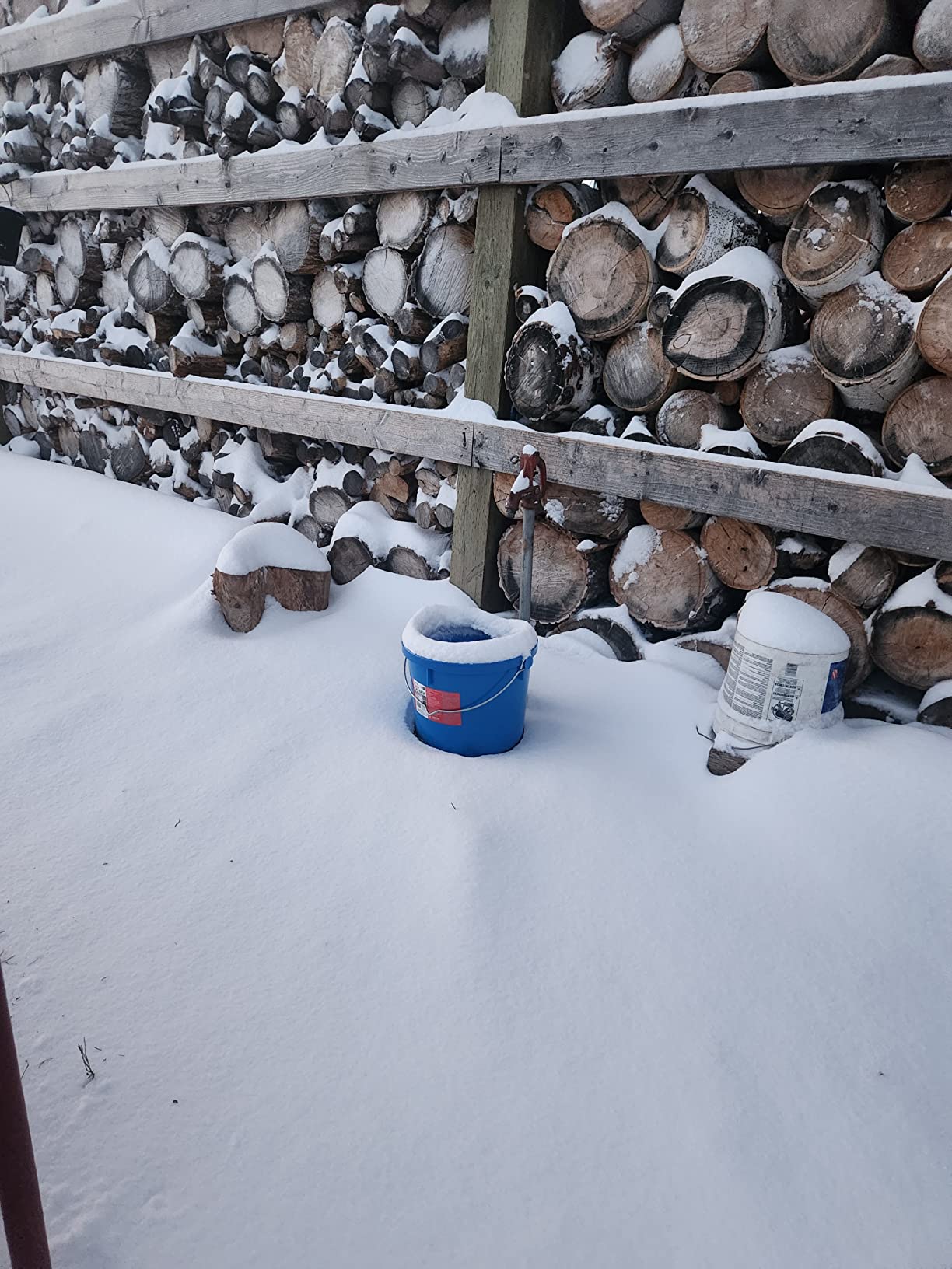 API Heated Flat Back Bucket, Heated Flat Back Water Pail with Warmer for Cattle, Livestock and Horses, 20 Quart customer photo 1