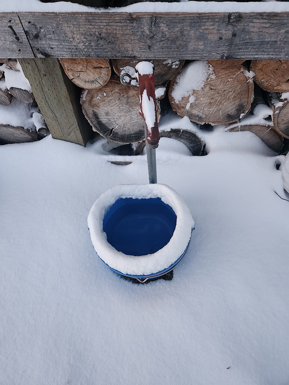API Heated Flat Back Bucket, Heated Flat Back Water Pail with Warmer for Cattle, Livestock and Horses, 20 Quart customer photo 2