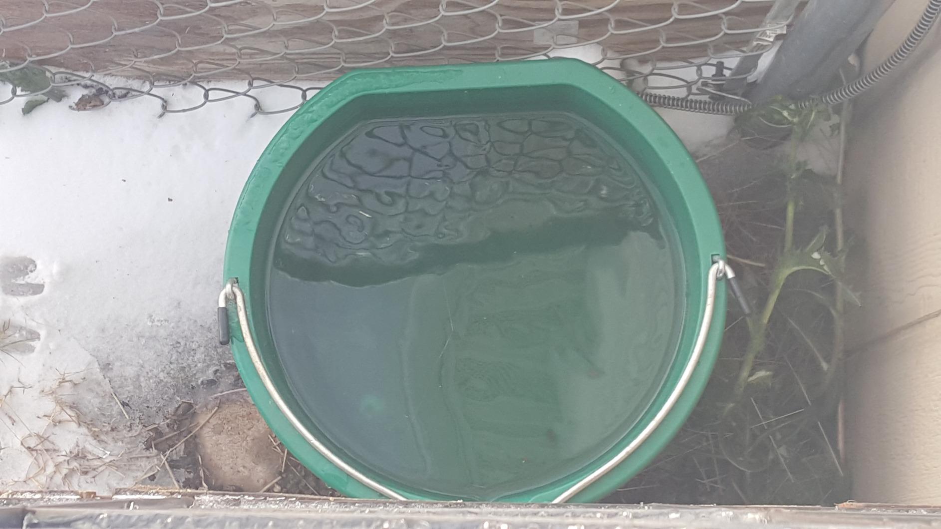 Farm Innovators Heated Water Bucket, 120W Heating Power - Flat Back 5 Gallon Plastic Bucket with Cord Storage for Livestock Watering & Feeding customer photo 1