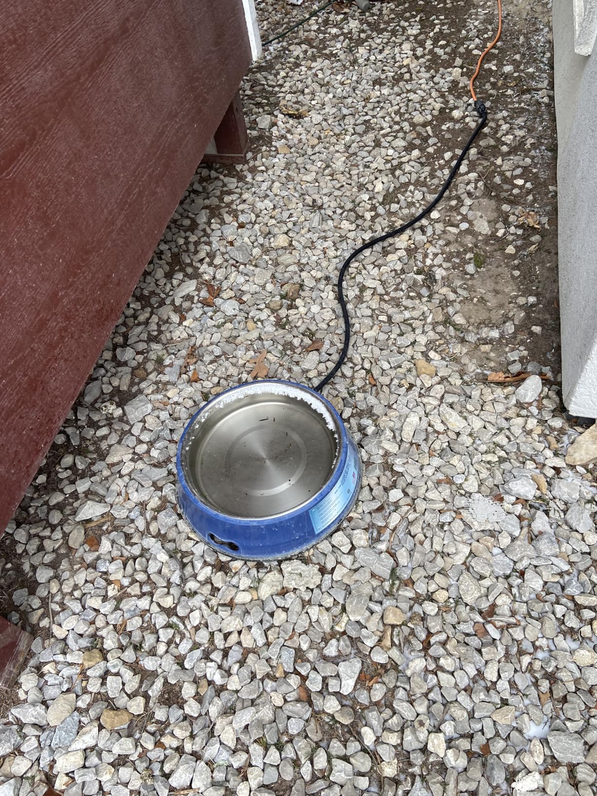 Farm Innovators Heated Pet Water Bowl, 60W Heated Water Dish - 5.5 Quart Stainless Steel Watering Station with Anti-Chew Cord Protector for Dogs & Cats customer photo 2
