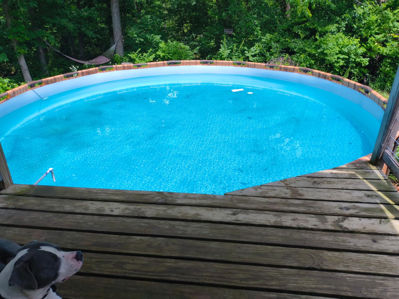 In The Swim Pool Closing Kit - Winterizing Chemicals for Above Ground and In-Ground Pools - Up to 15,000 Gallons customer photo 2
