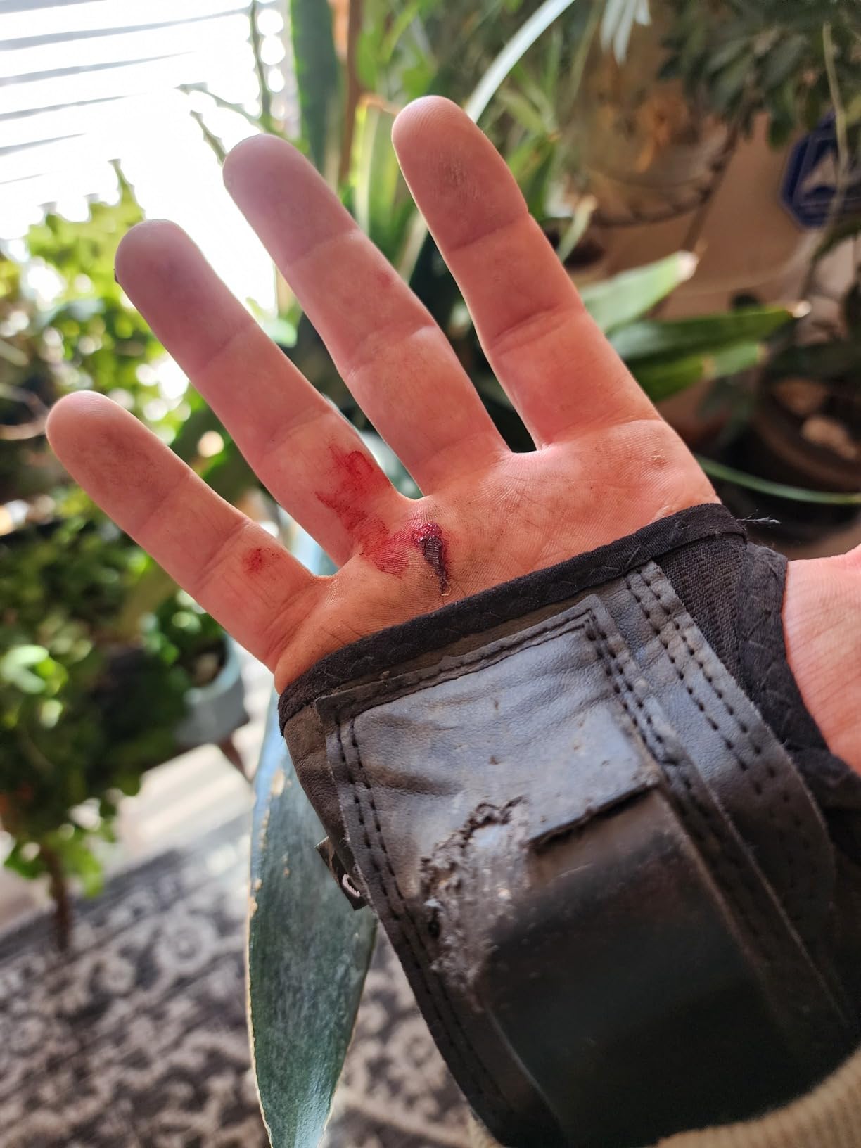 Triple Eight WRISTSAVER II Wrist Guards - Ideal for Skateboarding, in-line Skating, and Roller Skating customer photo 1