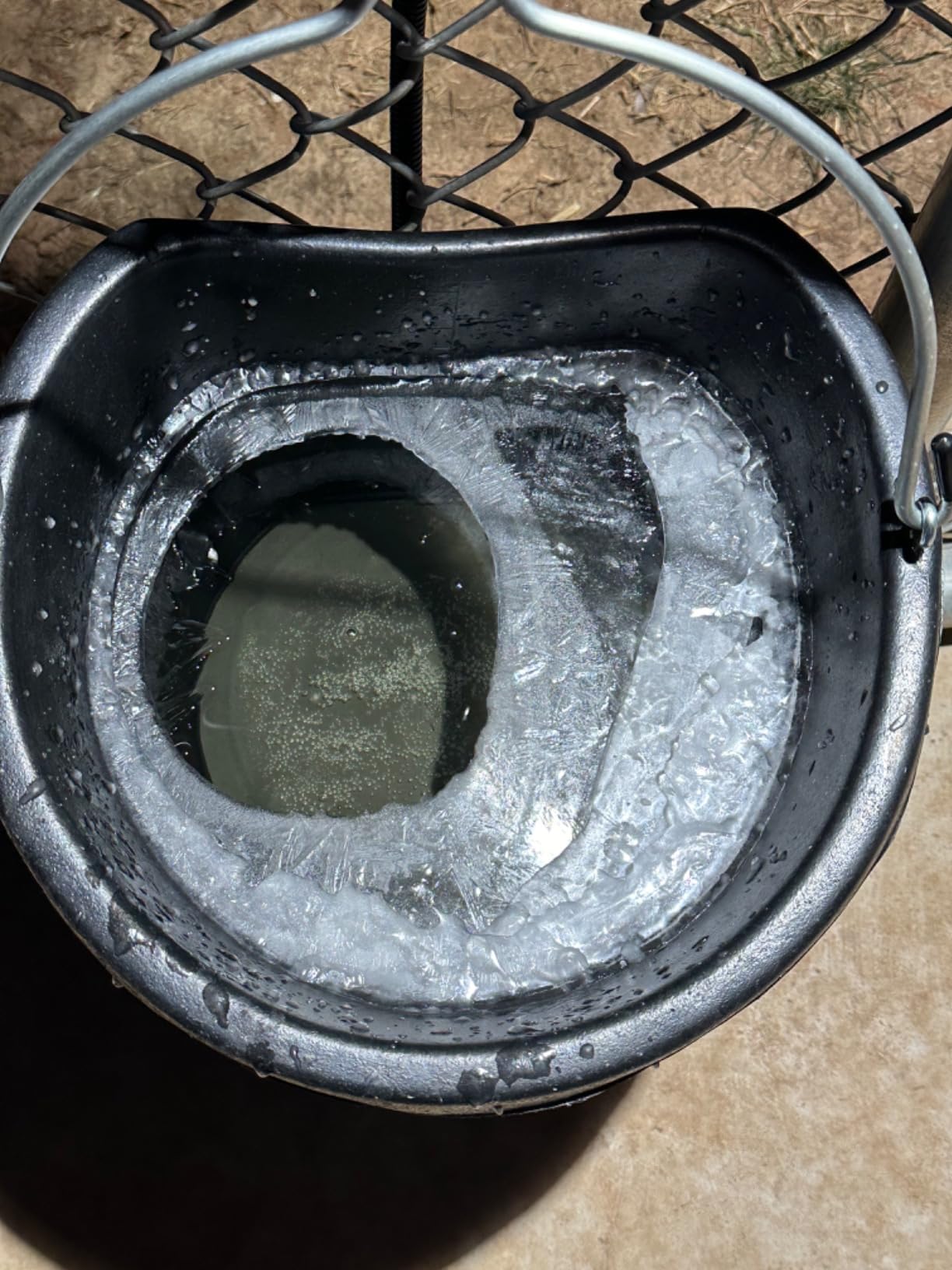 Farm Innovators FB-80R Rubber 3 Gallon Flat Back Heated Bucket with Metal Handle, Built in Thermostat, and Concealed Heating Element, 70 Watt customer photo 1