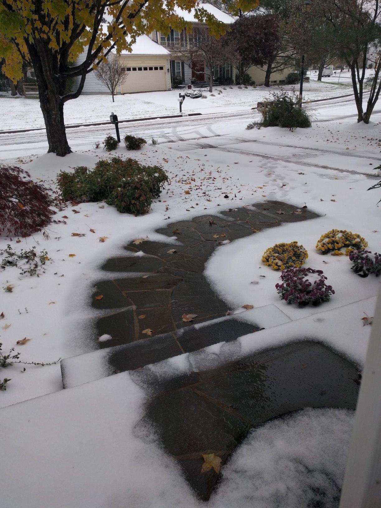 WarmlyYours 2x30 ft. Electric Ice and Snow Melting Mat 240V 3000 Watts - Embedded Under Asphalt, Concrete, or Pavers - Radiant Heated Driveway, Walkways, Sidewalks, Patios, Porch, Ramps PowerMat customer photo 1