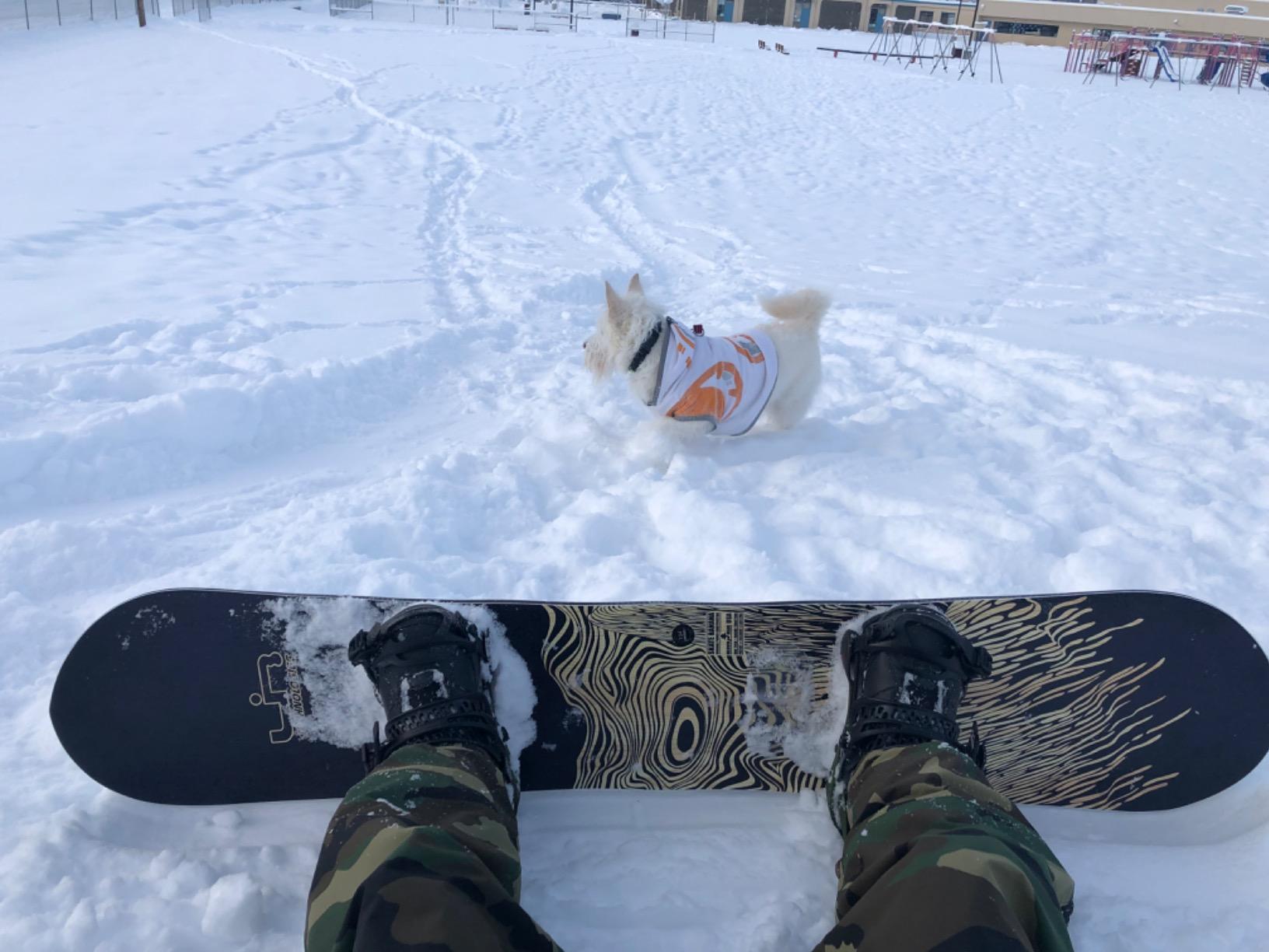 Burton Medium Stomp Spike Mat customer photo 1
