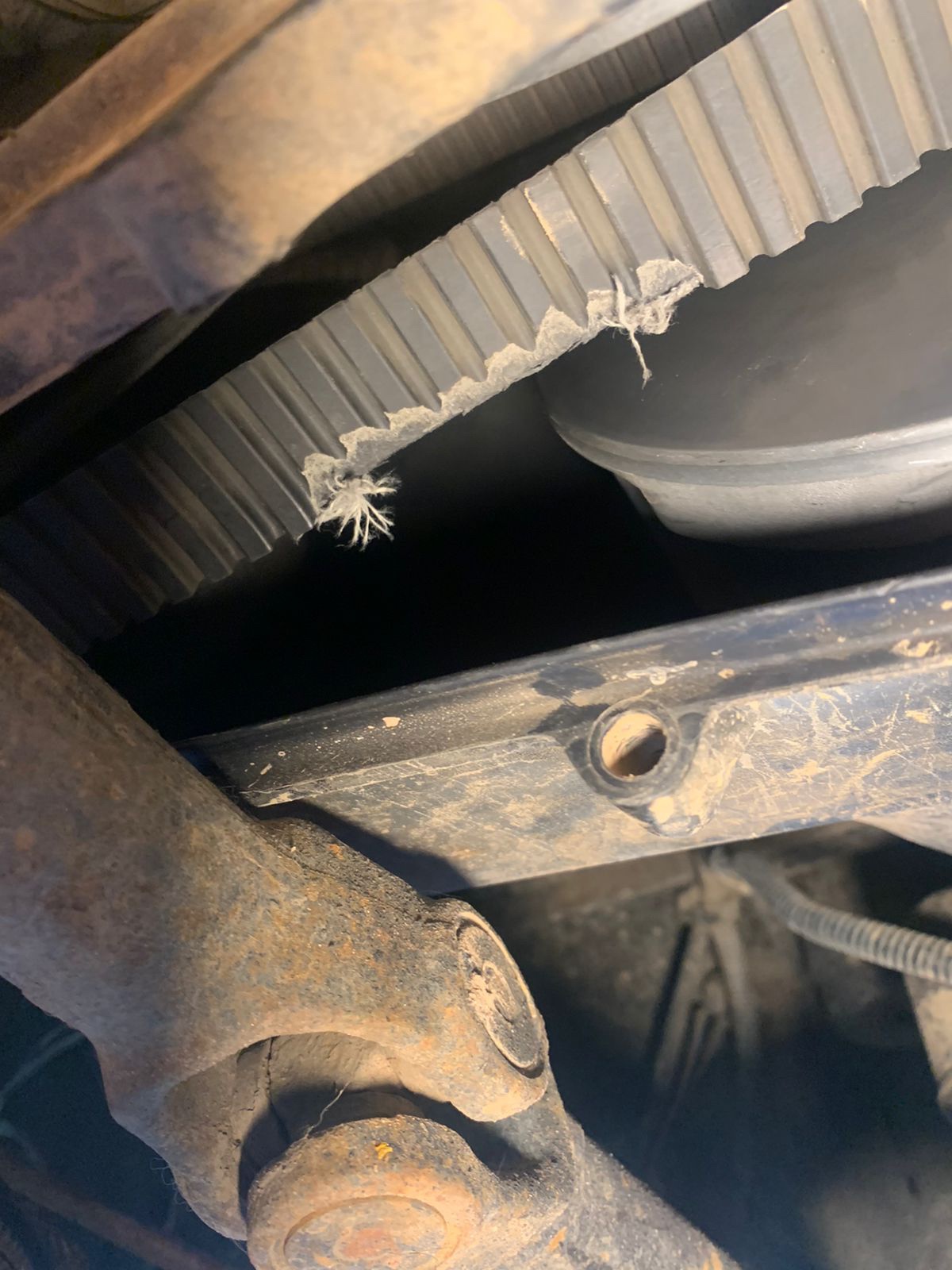 Gates 19G3982 G Force Workhorse Continuously Variable Transmission (CVT) Belt customer photo 1
