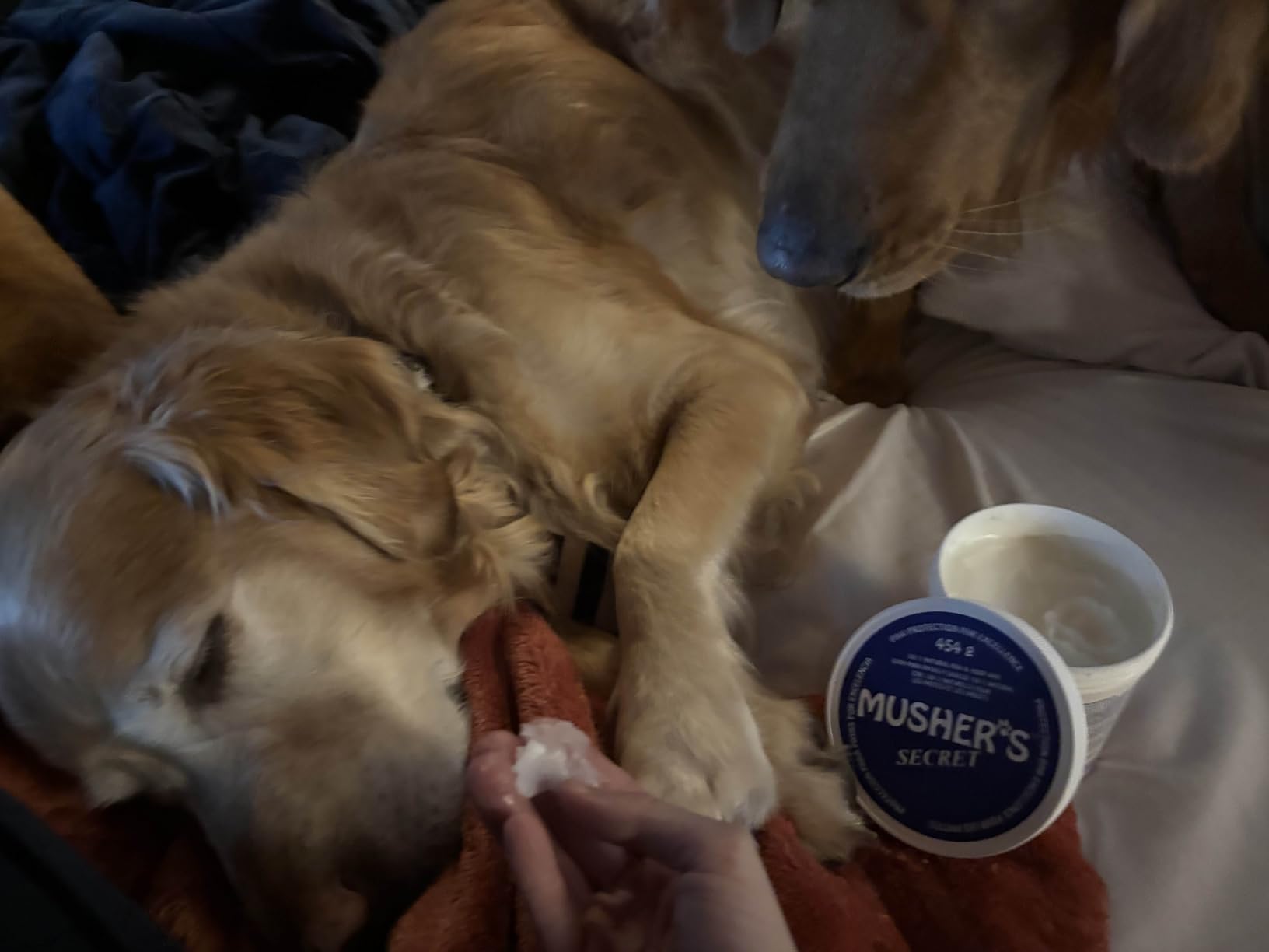 Musher's Secret Dog Paw Wax 454g (16oz) - All-Natural Dog Balm w/ Vitamin E - Helps Protect & Moisturizes Cracked Paws - Invisible Barrier for Hot Pavement, Ice & Salt - Lick-Safe & Non-Toxic customer photo 1