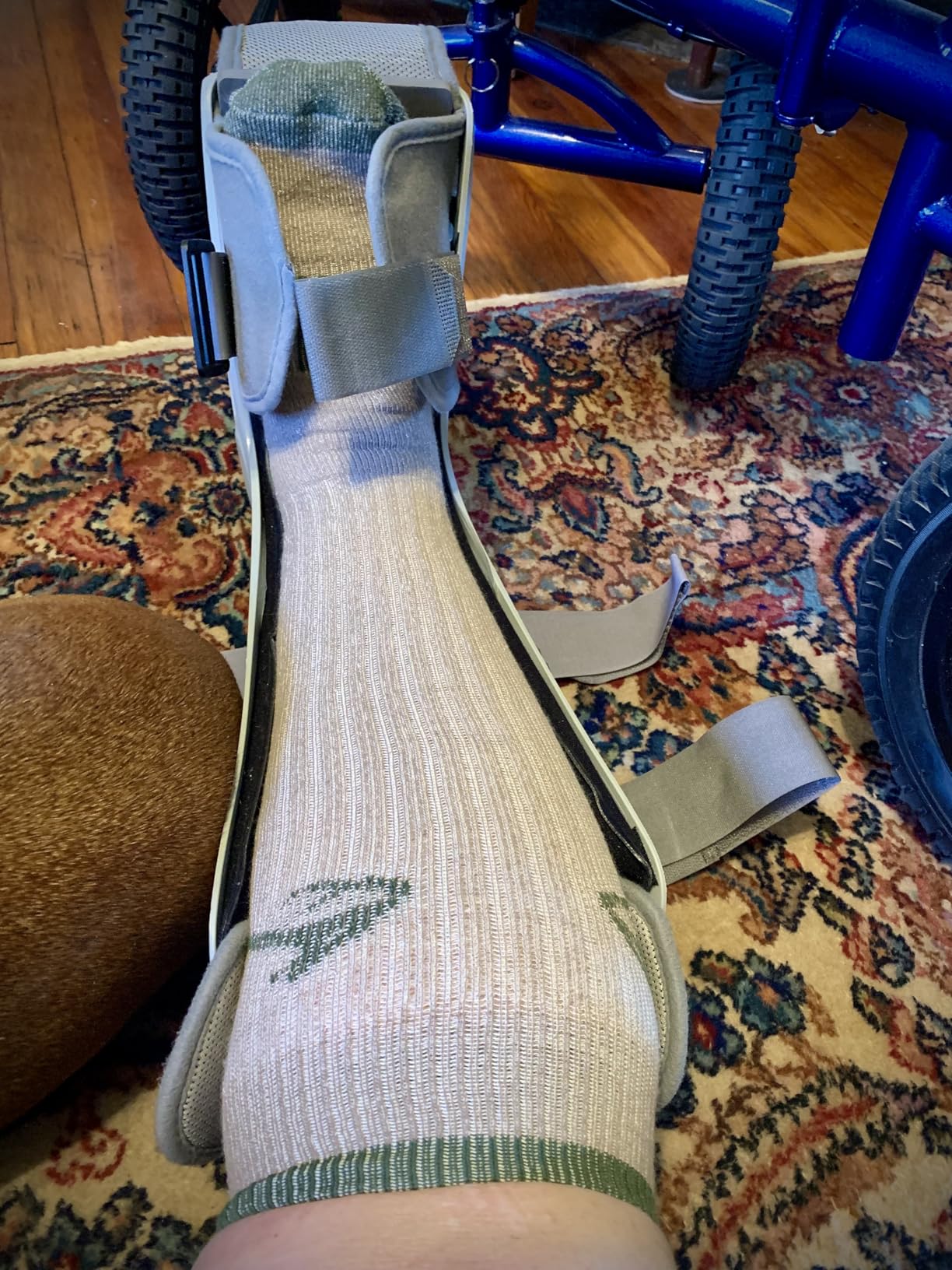 RealTree Heavyweight Merino Wool Tall All Season Boot Socks 1 Pair customer photo 1