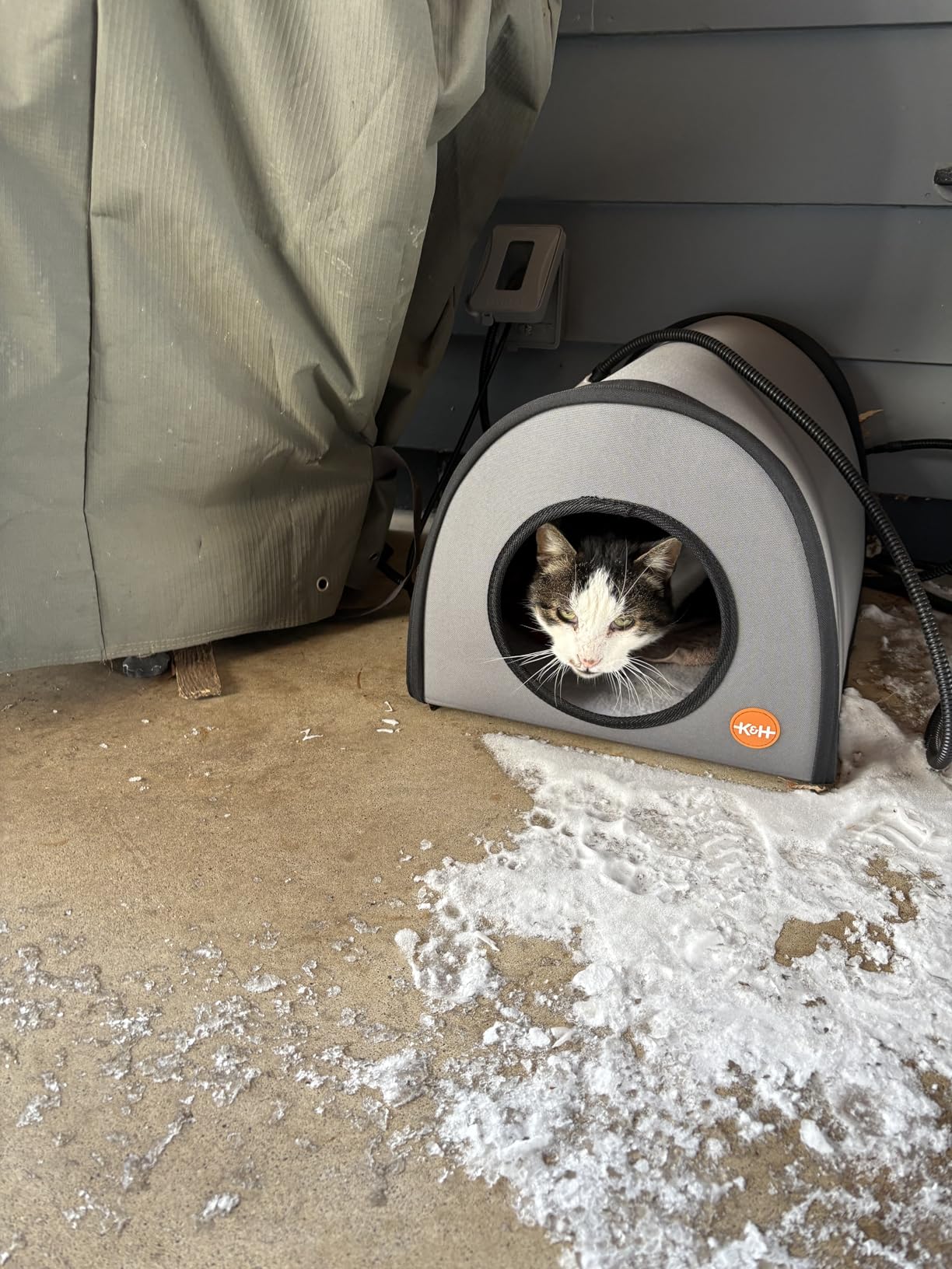 K&H Pet Products Heated Outdoor Cat House for Outside - Thermo Mod Kitty Shelter, Insulated, Waterproof, Heated Floor, Washable Cover, Safety Listed customer photo 2