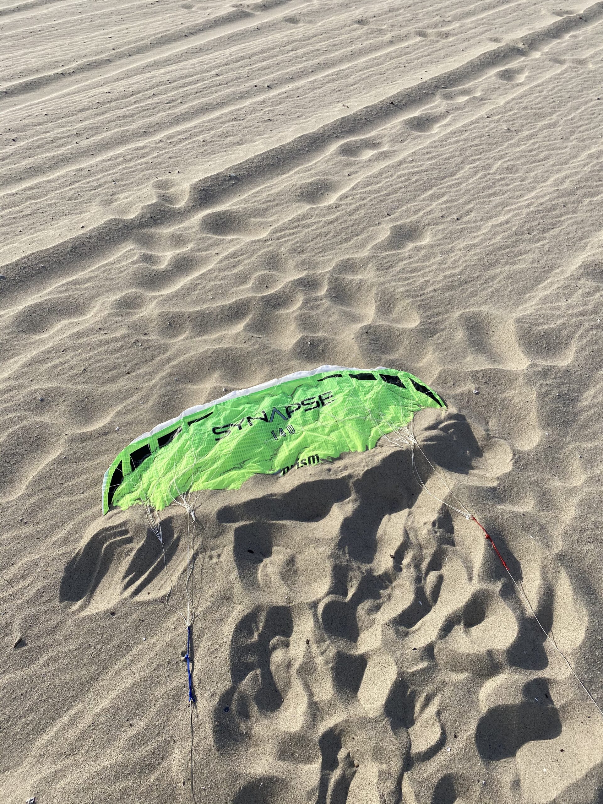 Prism Kite Technology Synapse 140 Dual-line Parafoil Kite Cilantro customer photo 2