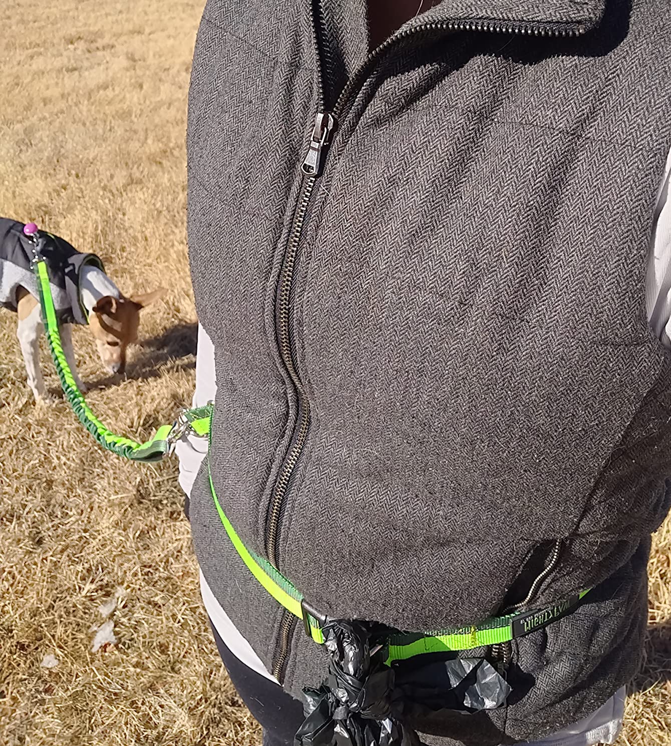 Mighty Paw Hands Free Dog Leash | Bungee Waist Leash for Dog Walking. Pet Running Hands Free Tether for Large, Medium & Small Breeds. Pet Waist Belt (36