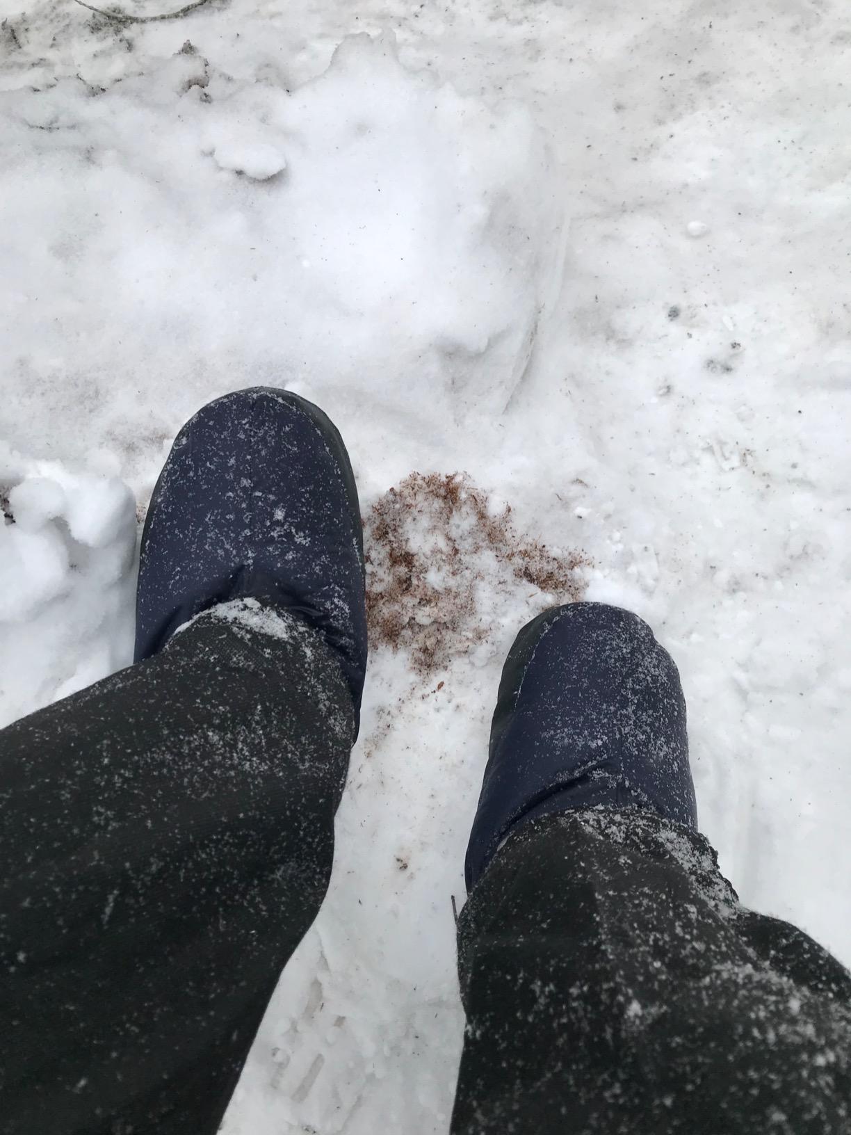 Western Mountaineering Standard Booties - Men's customer photo 1