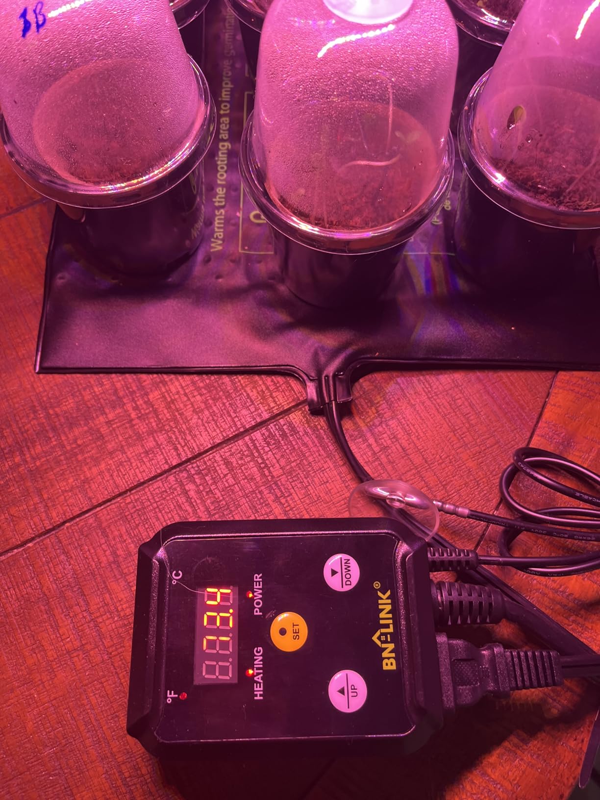 BN-LINK Reptile Thermostat Temperature Controller, Digital Heat Mat Thermostat for Seed Starting, Plant Germination, Greenhouse, Incubator, Brooder, Brewing, Reptiles Tank, 40-108F, 1000W, ETL Listed customer photo 1