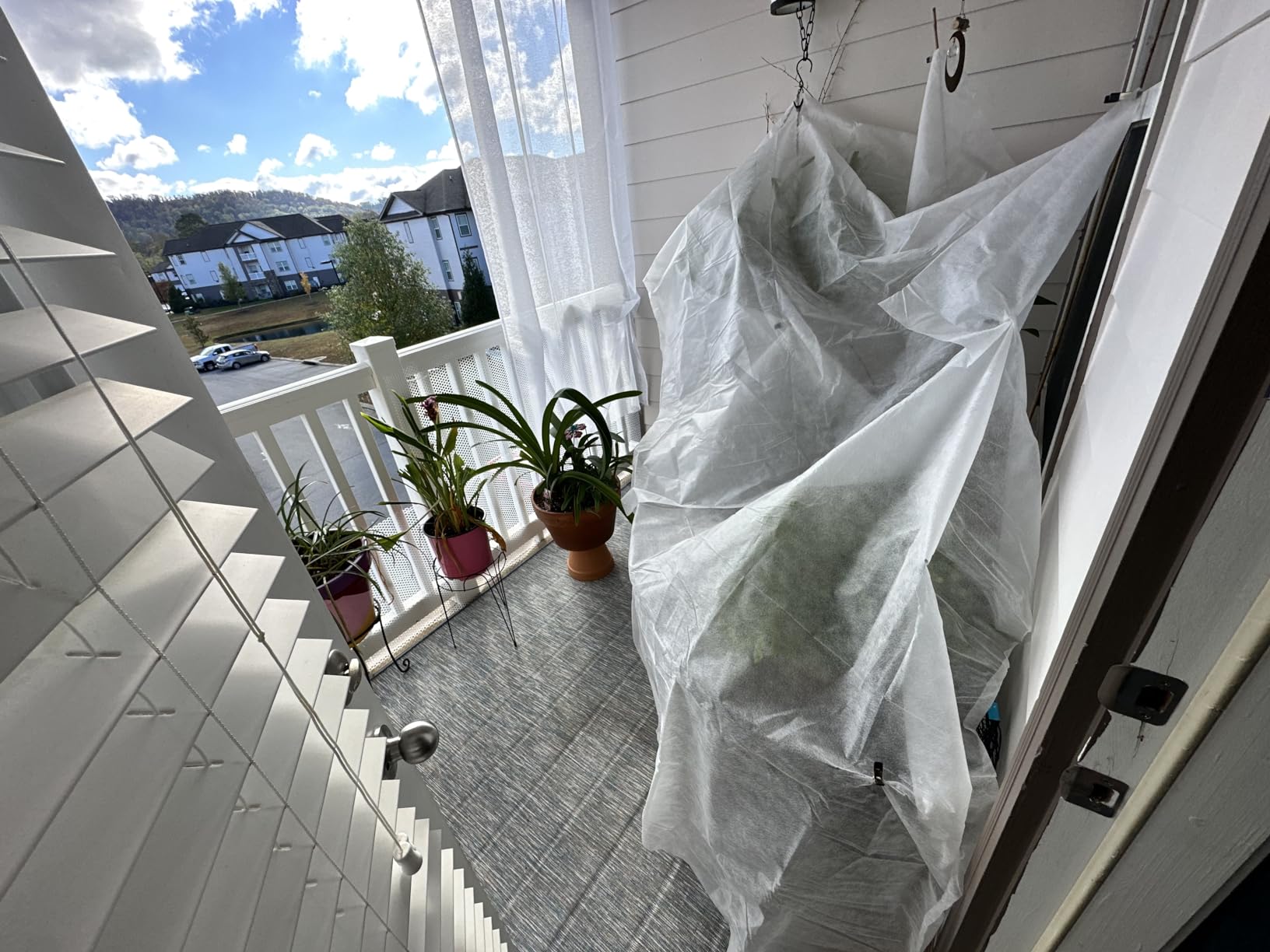 Agfabric Plant Covers Freeze Protection Floating Row Covers 2.0oz 10'x30' Frost Cloth for Freeze Protection, Winter Garden Frost Cover for Plants, White customer photo 1