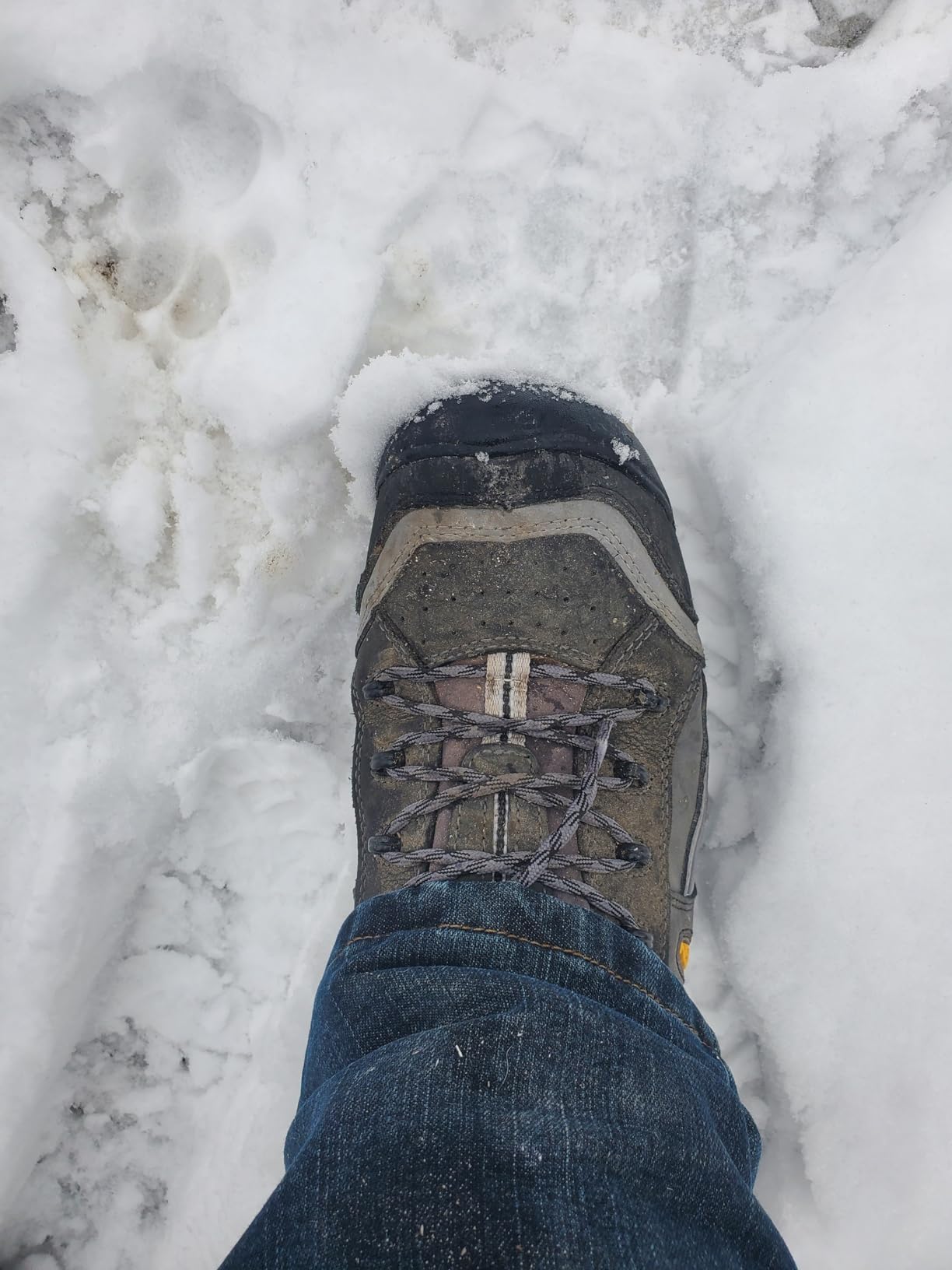 KEEN Utility Men's Davenport 6