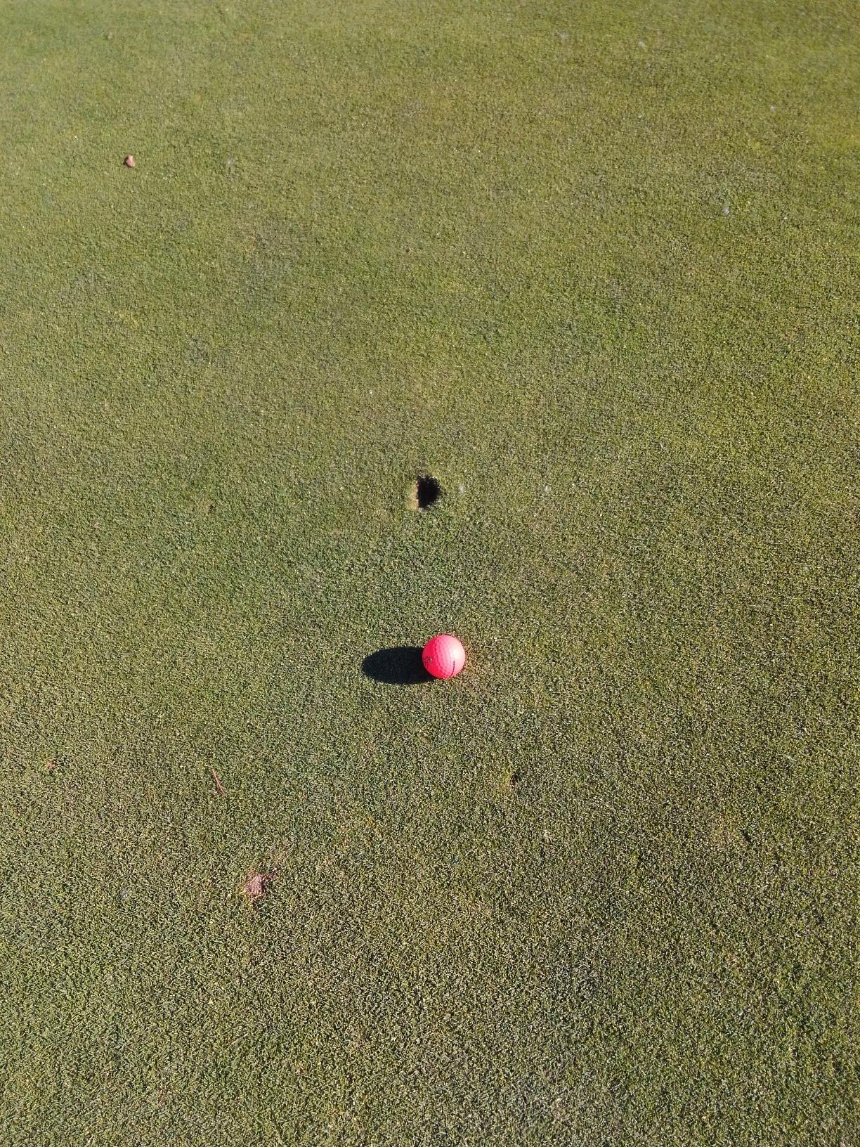 Vice Golf Vice Pro Soft customer photo 2