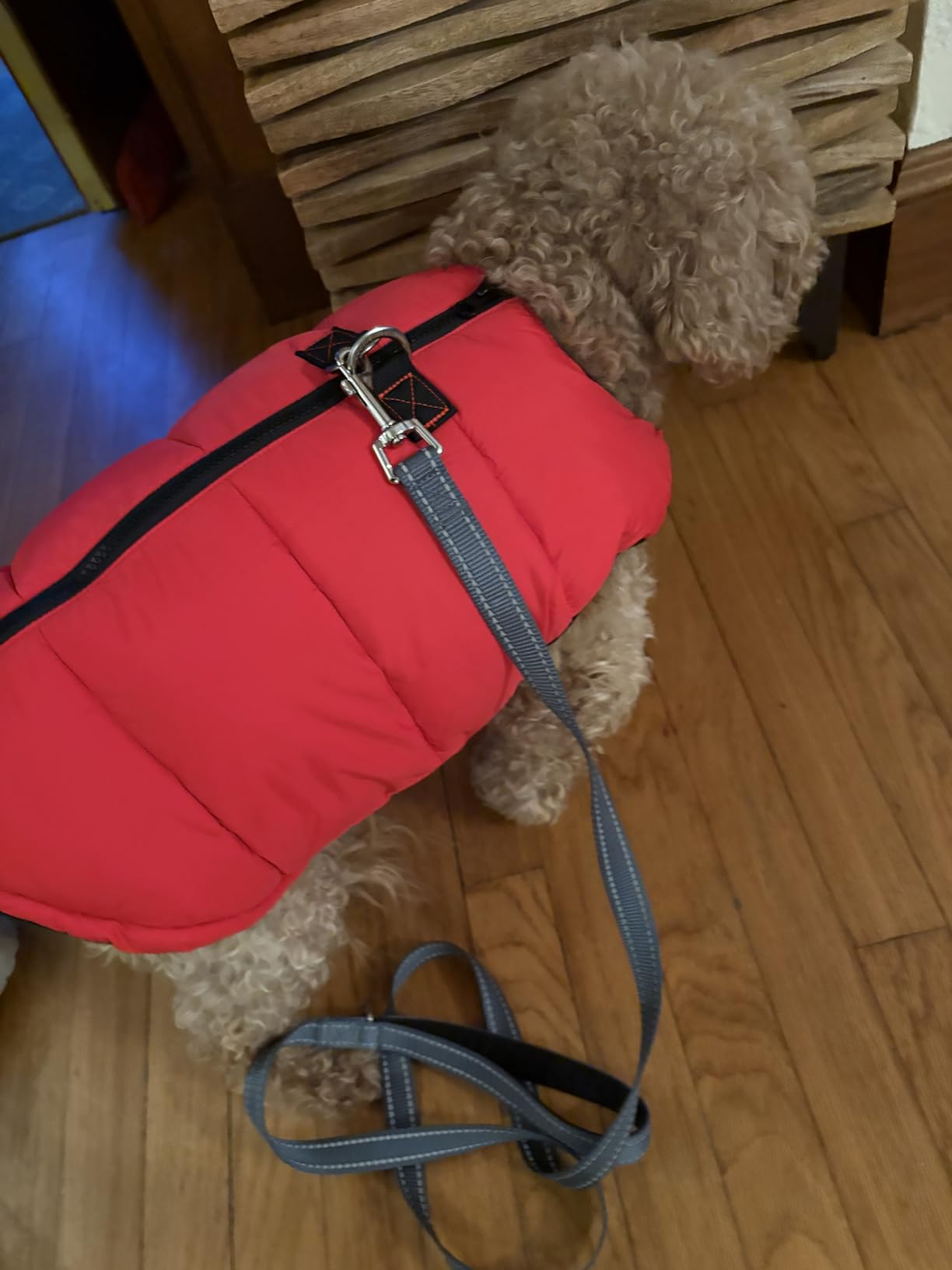 Gooby Padded Vest Dog Jacket - Warm Zip Up Vest Fleece Jacket with Dual D Ring Leash Water Resistant for Small to Medium Dogs customer photo 2
