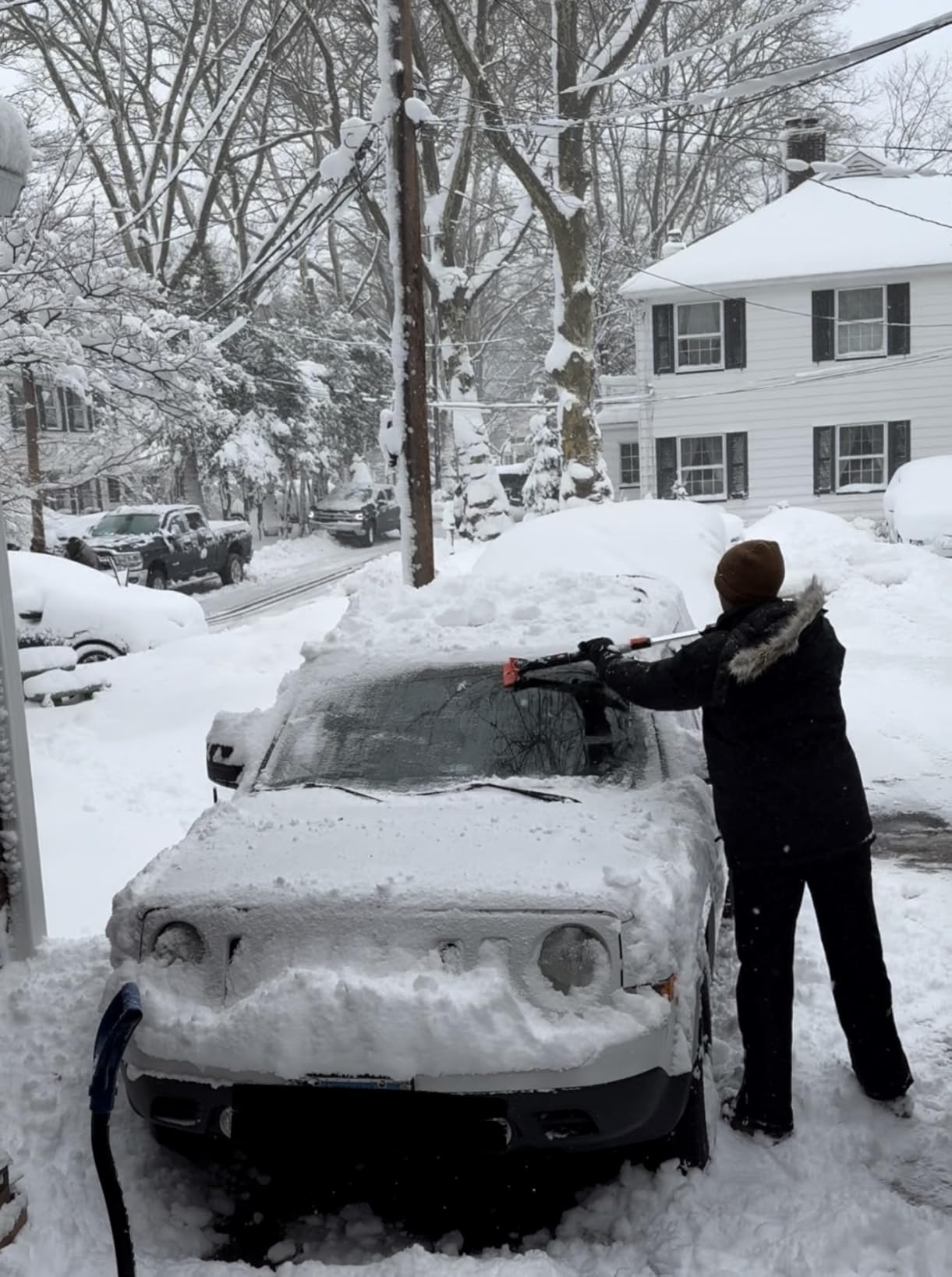 Snow MOOver 39