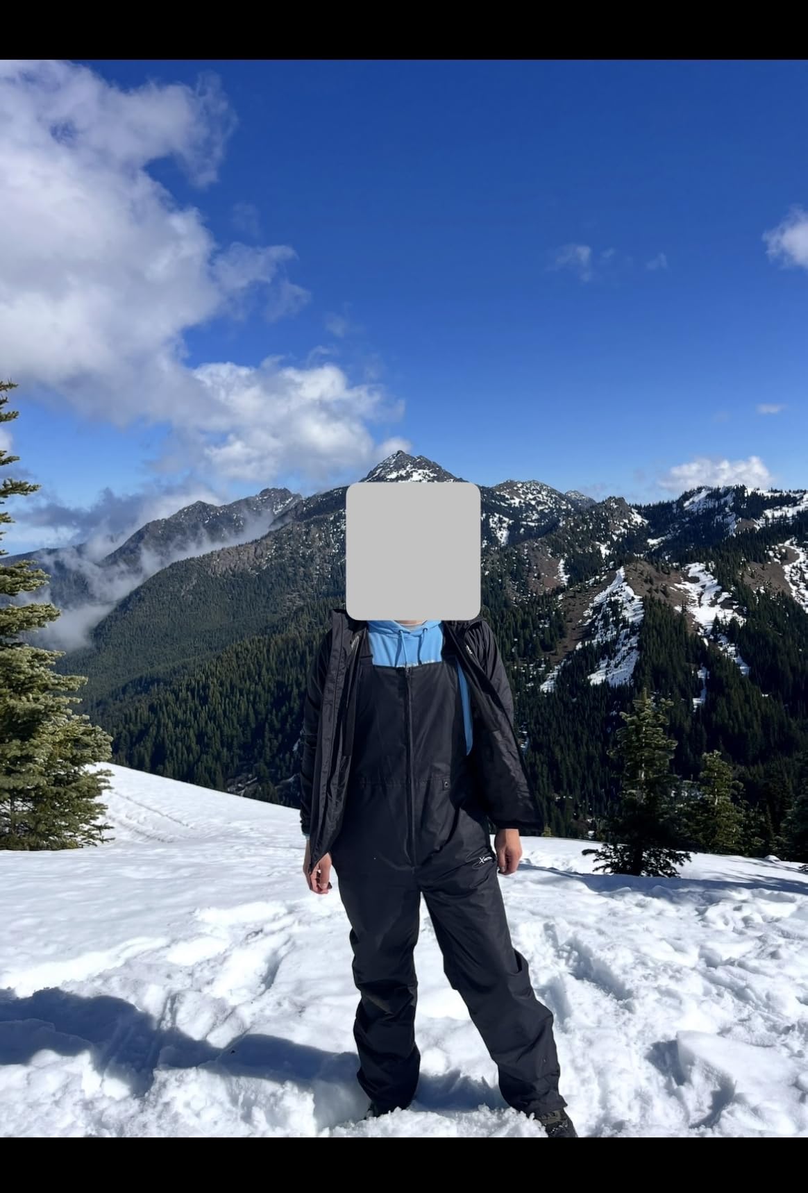 Arctix Men's Essential Insulated Bib Overalls customer photo 1