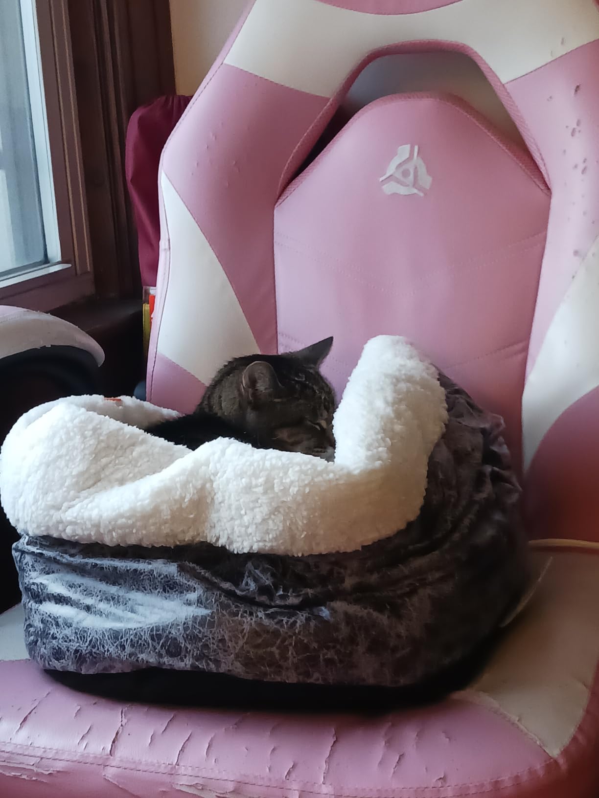 K&H Pet Products Heated Cat Bed Indoor, Thermo-Snuggle Cup Bomber Soft Heated Pet Bed for Large Indoor Cats and Small Dogs, Machine Washable, Waterproof Heated Pad, Safety Listed - 18 X 14in Gray customer photo 1