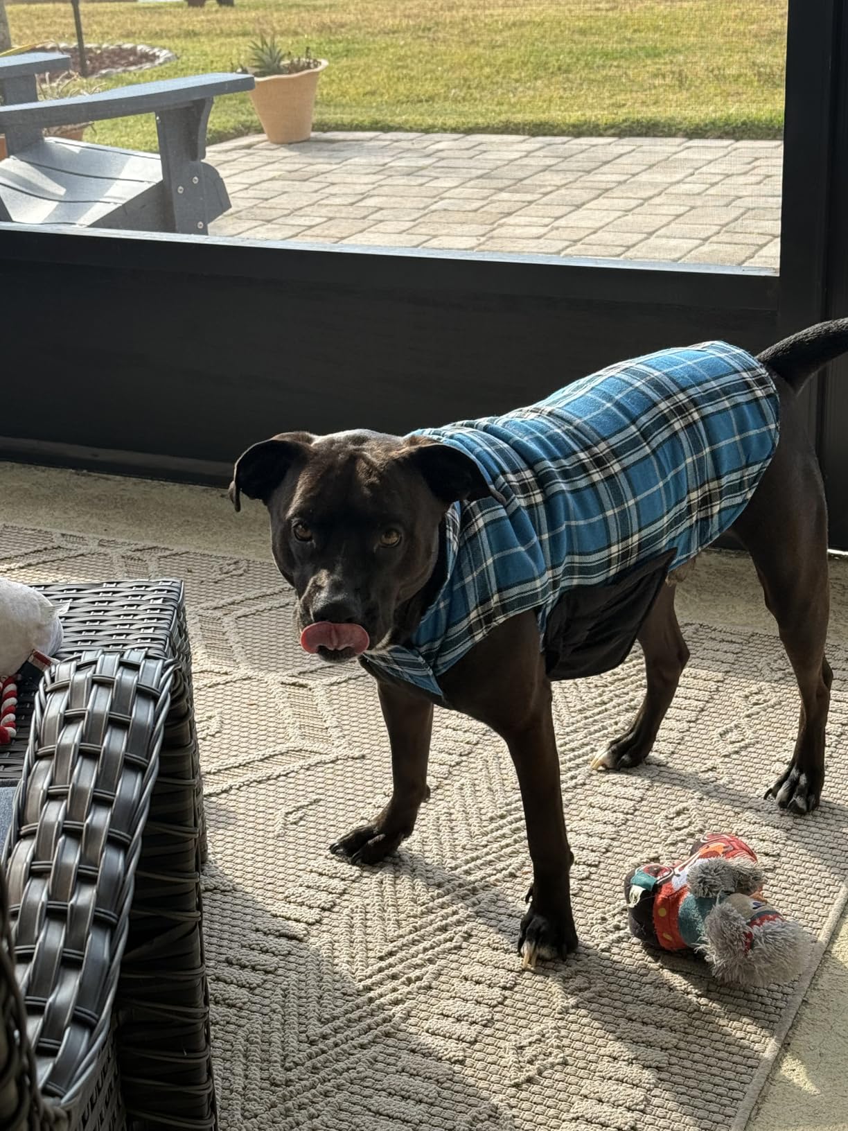 Kuoser Waterproof Dog Coat, Reversible Dog Jacket for Large Dogs, Adjustable Durable Doggie Winter Coat for Growing Puppies Warm Puppy Cold Weather Apparel customer photo 2