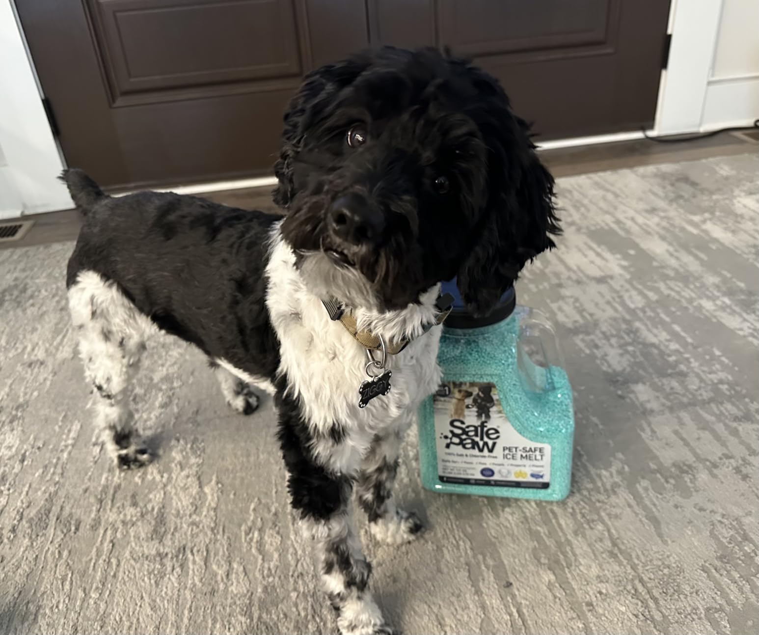 Safe Paw Ice Melt - Pet & Kid Friendly, Salt-Free & Chloride-Free, Safe for Concrete, Driveways & Sidewalks | Long-Lasting & Fast- Snow & Ice Melter for Winter Use - 3X Longer Effect customer photo 1