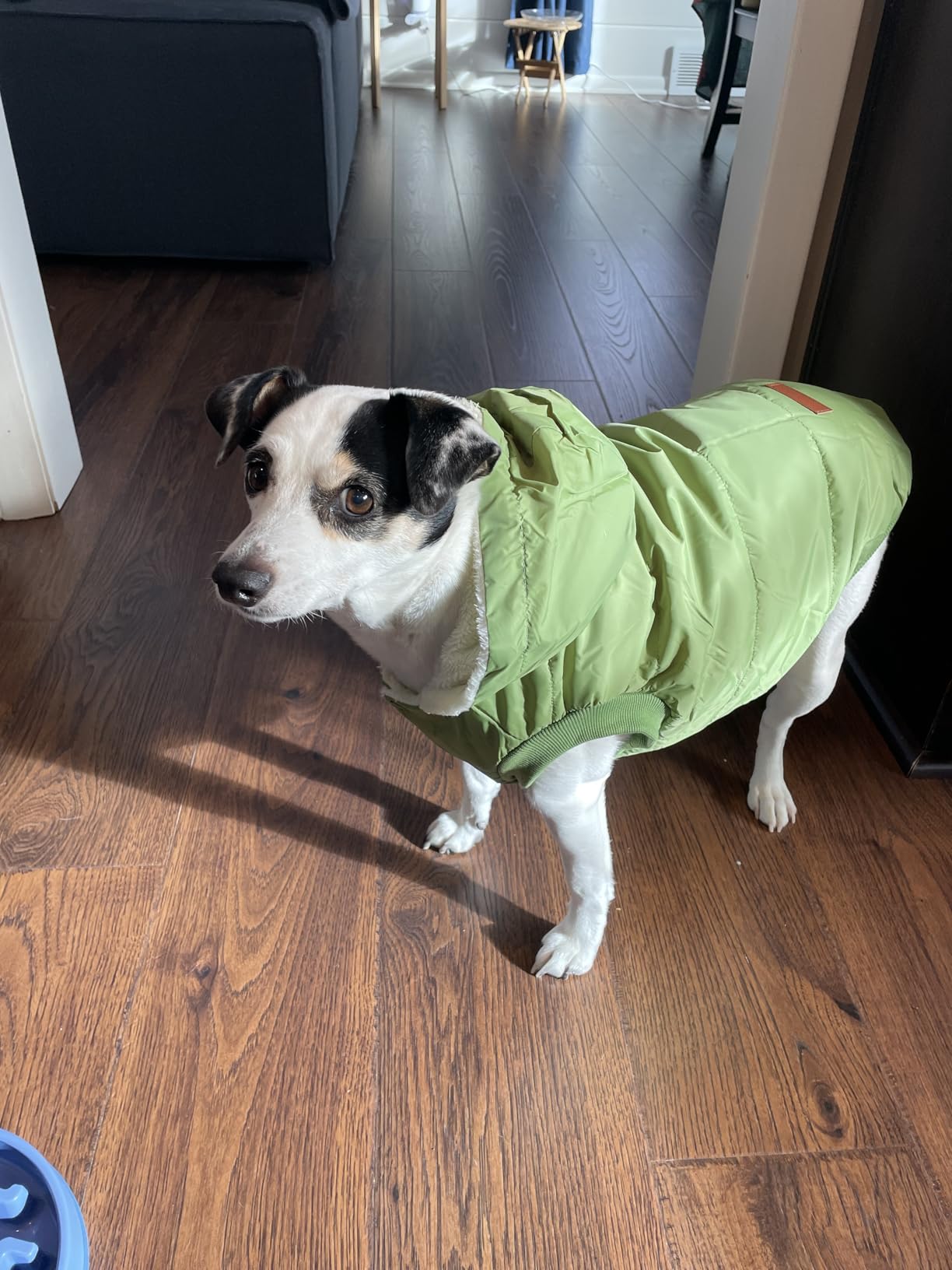Vecomfy Fleece Lining Extra Warm Dog Hoodie in Winter, Small Dog Jacket Puppy Coats with Hooded customer photo 2