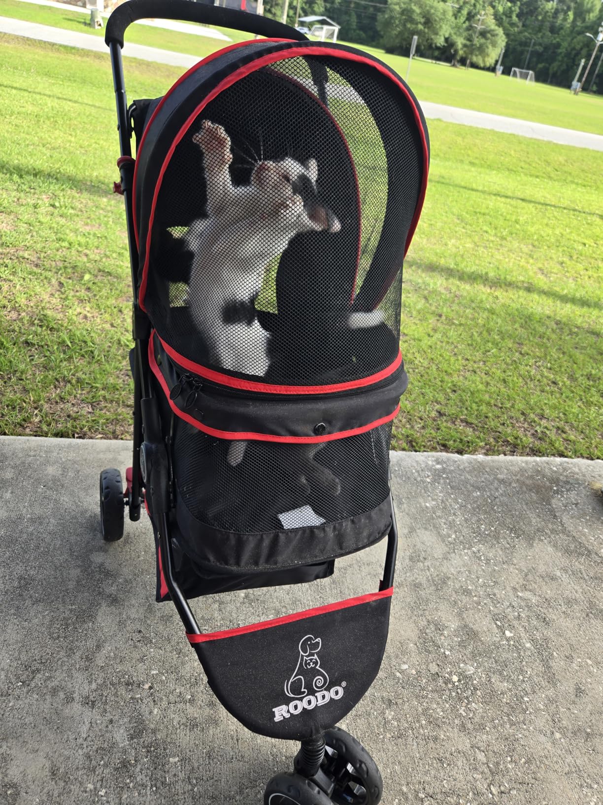 ROODO Escort 3 Wheel Dog Cat Pet Stroller, Lightweight Foldable Portable Compact Jogger All Terrain Travel Pet Gear for up to 30lbs customer photo 1
