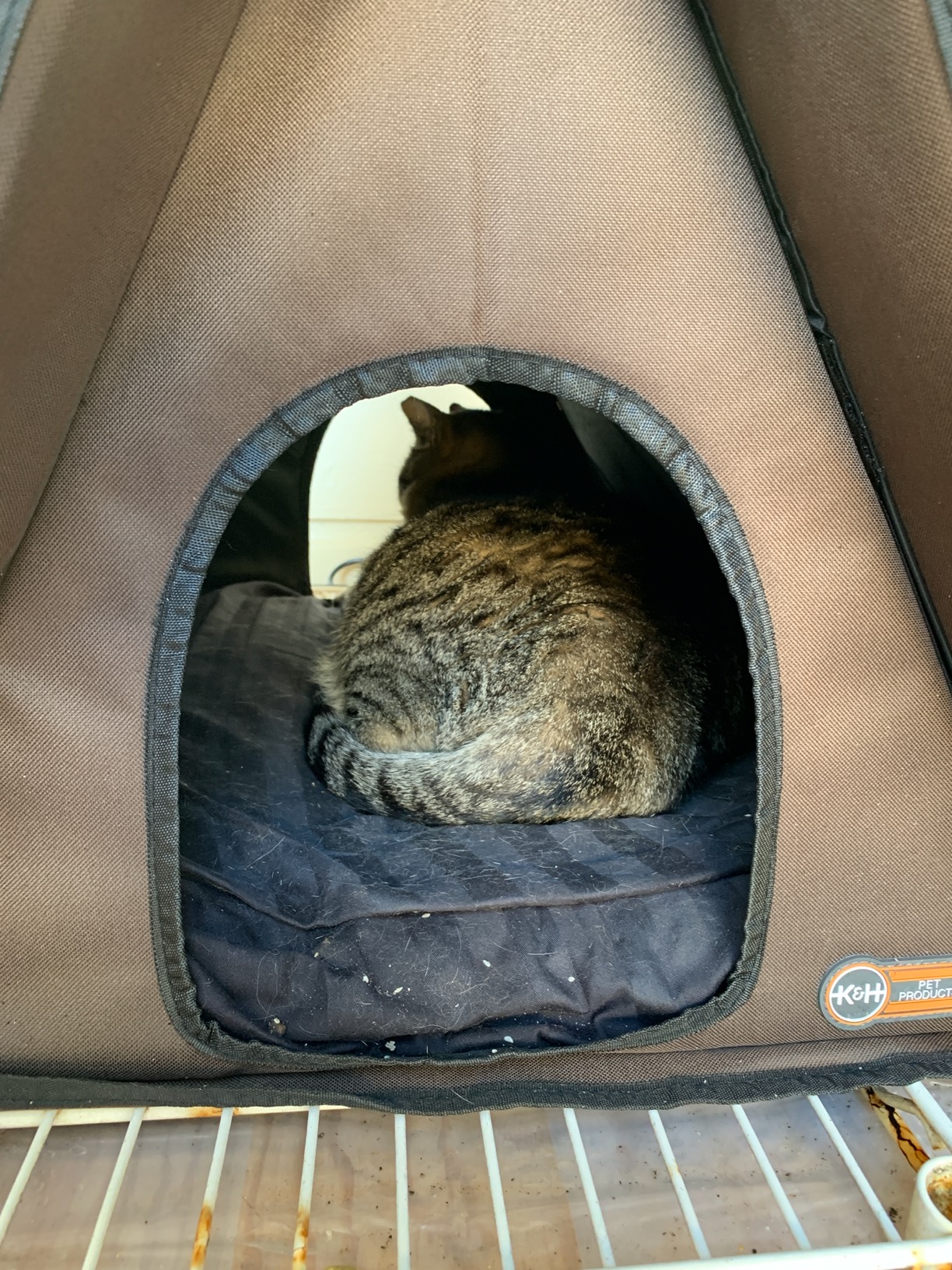 K&H Pet Products A-Frame Heated Outdoor Cat House for Outside Pets in Winter, Large Shelter for Multiple Ferals, Weatherproof, Insulated, 2 Doors, Waterproof Heated Cat Bed, Safety Listed - 20W customer photo 1