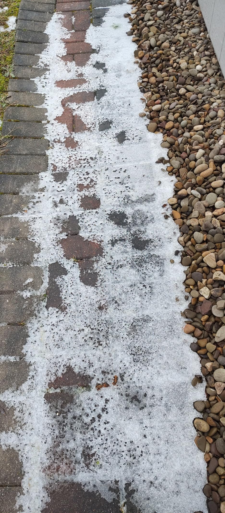 JUST FOR PETS Snow & Ice Melter Safe for Pets & Paws Contains No Toxic Chlorides or Painful to The Paw Rock Salt, Safe for Dogs & Cats. Fast Acting and Works On Contact 9 lb. Shaker Jug customer photo 1