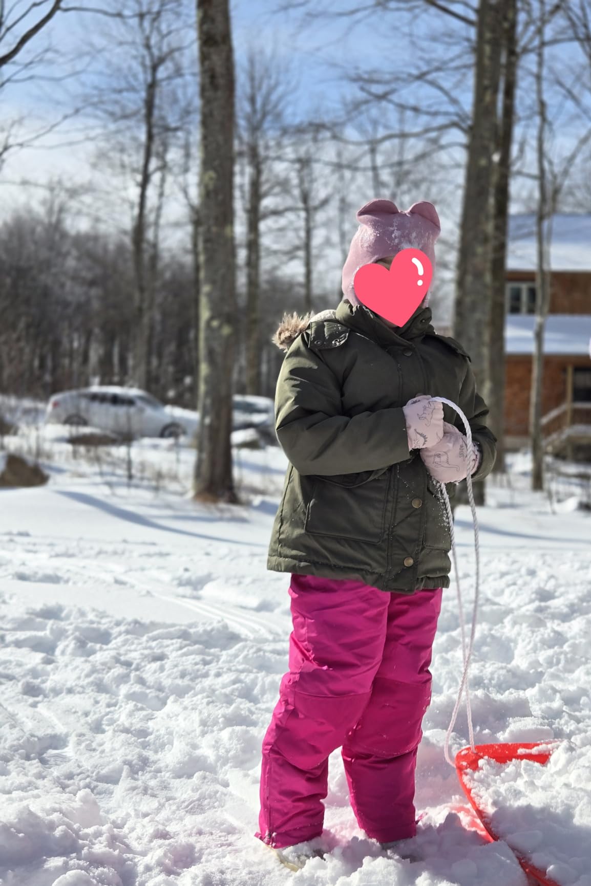 Cherokee Kids Snow Bib - Waterproof Insulated Winter Bib Overalls for Girls and Boys with Adjustable Waistband (Sizes: 2T-18) customer photo 1