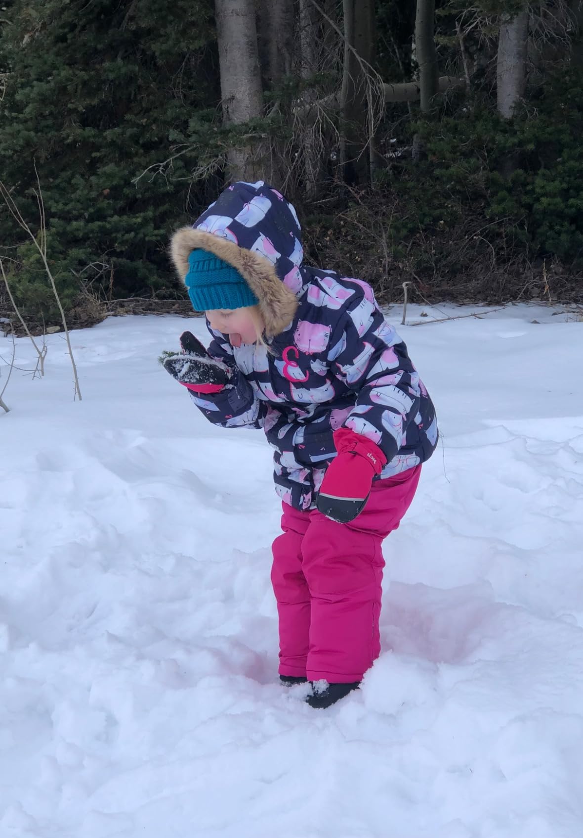 Cherokee Kids Snow Bib - Waterproof Insulated Winter Bib Overalls for Girls and Boys with Adjustable Waistband (Sizes: 2T-18) customer photo 2