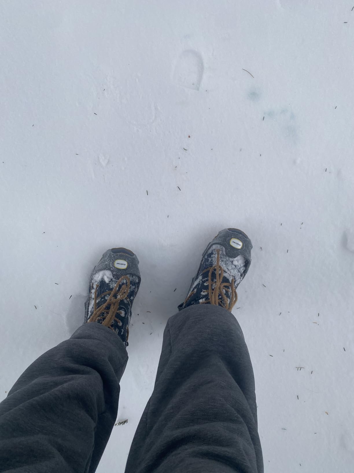 V3 Tungsten Crampons, Ice Cleats for Shoes and Boots - Ice Grips for Snow and Ice, Non-Slip Shoe Grippers with Reflective Heel customer photo 1