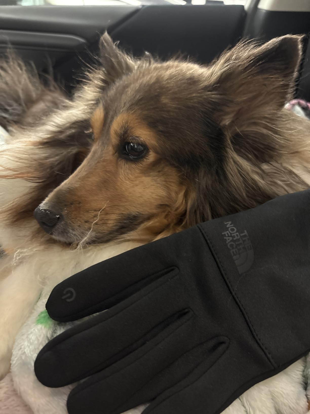 The North Face Etip Fleece Recycled Gloves | Touchscreen Compatible Gear for Men & Women customer photo 1