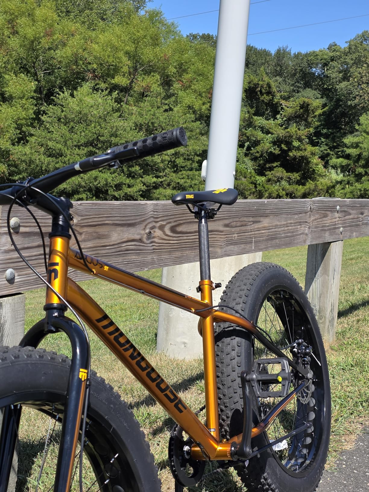 Mongoose Argus Trail or ST Fat Tire Mountain Bike, 20, 24 or 26 Inch Bike for Kids and Adults, 7 or 16 Speed, Aluminum or Steel Frame customer photo 1
