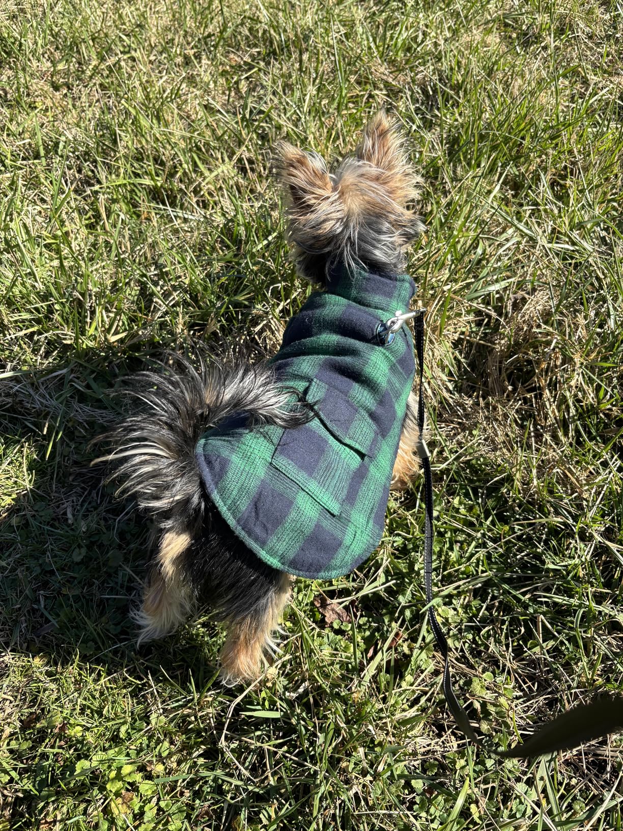 Kuoser Reversible Winter Coat, British Style Jacket for Small Dogs, Warm Windproof Puppy Cold Weather Clothes Vest, Green XS customer photo 1