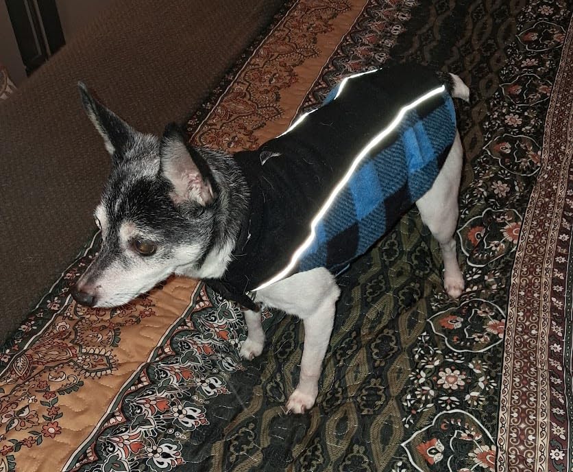 Kuoser Dog Winter Coat, Reversible Waterproof Dog Jacket with Reflective Strip, Warm Dogs Fleece Vest Adjustable Doggy Cold Weather Clothes Plaid Christmas Outfit Pet Apparel for Small Dogs, Red XS customer photo 2