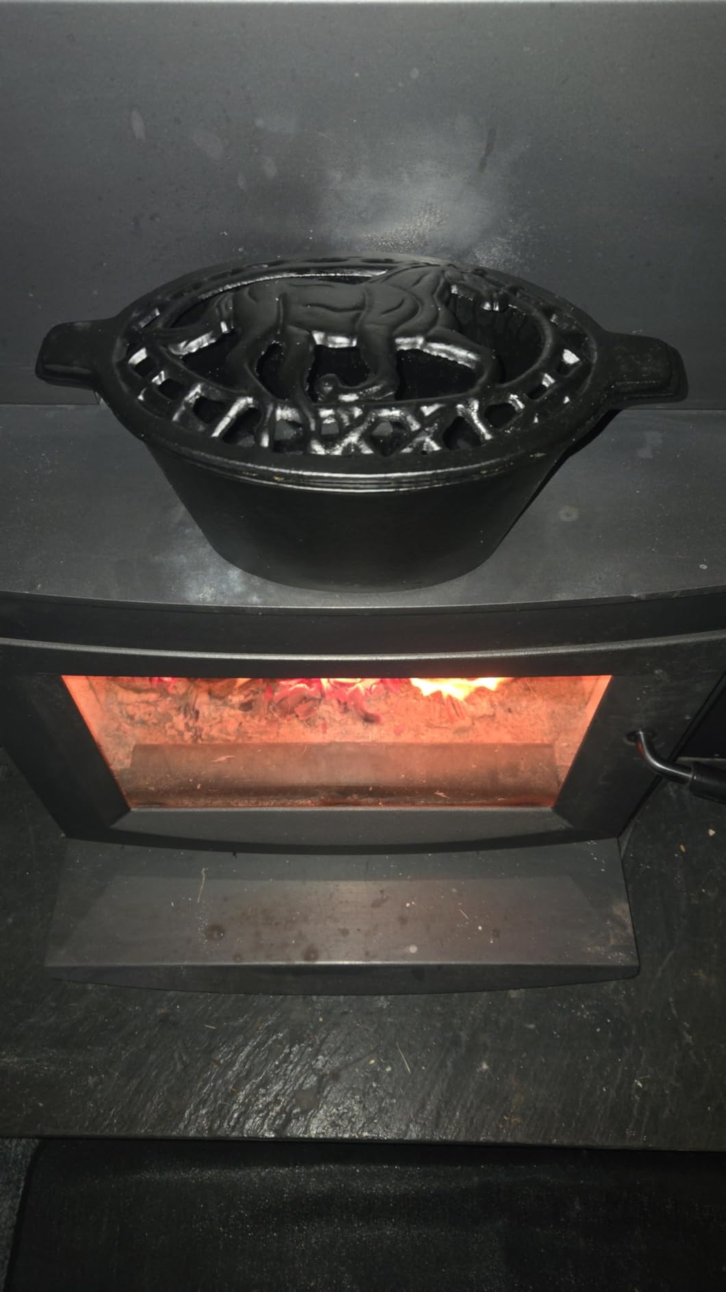 Fire Beauty Woodstove Steamer Stove Humidifier Cast Iron Lattice Top Rust Resistant 2.3 Quart Capacity (horse) customer photo 1