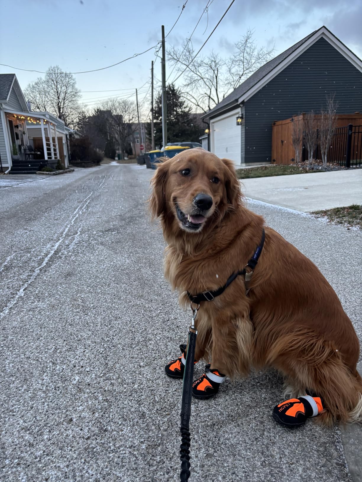 Hcpet Dog Boots, Dog Shoes for Large Dogs, Medium Dog Boots & Paw Protectors, Anti-Slip Dog Booties for Hot Pavement Winter Snow Hiking with Reflective Straps Black Size 6 customer photo 1
