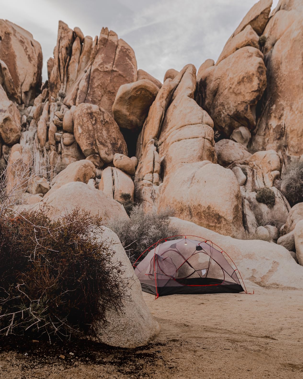ALPS Mountaineering Helix Backpacking Tent, 1-Person or 2-Person customer photo 2