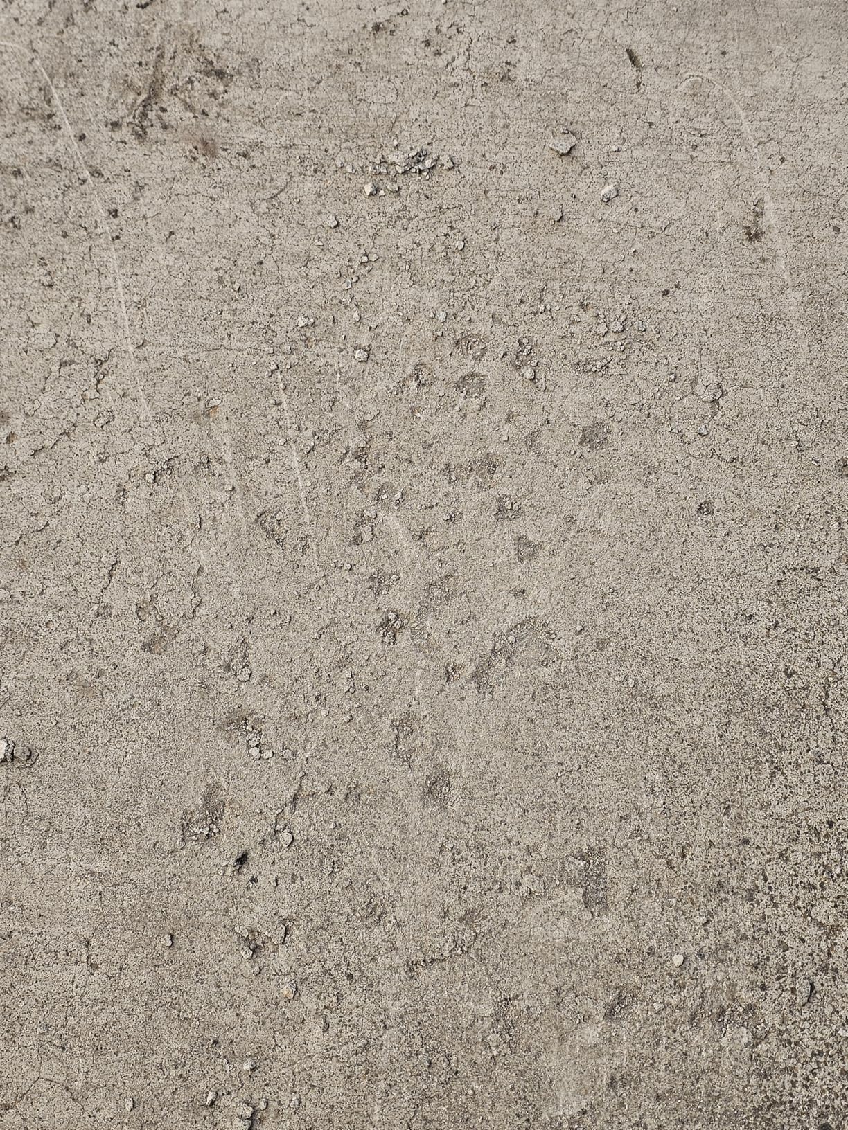 Eco-St Ice Melt Safe For Concrete - Fast Acting - Pet Safe Anti-Corrosion Snow Melt - Effective at -30°F (11lb) customer photo 2