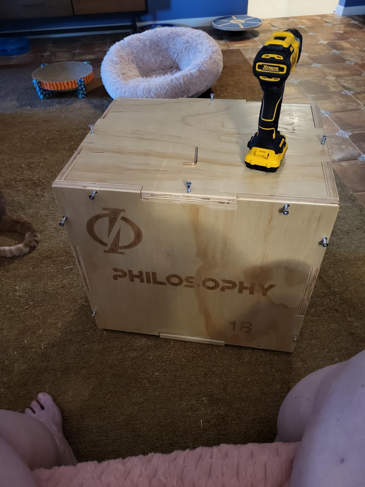 Philosophy Gym 3-in-1 Wooden Plyo Box, Wood Plyometric Jump Box Platform for Home Gym, HIIT, Jumps, Step-Ups, and Strength Training customer photo 2